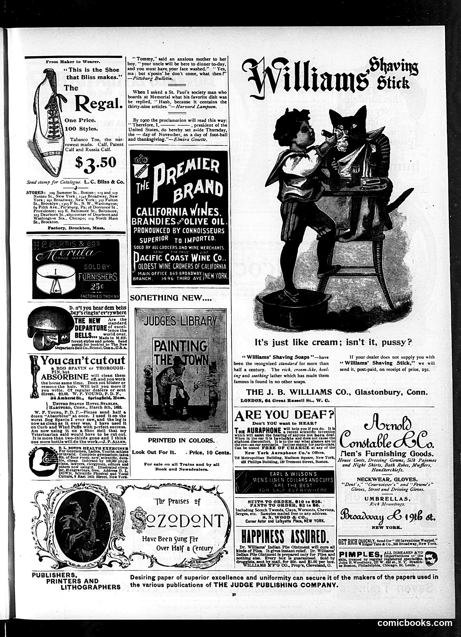 Judge — January 11, 1896 — page 13