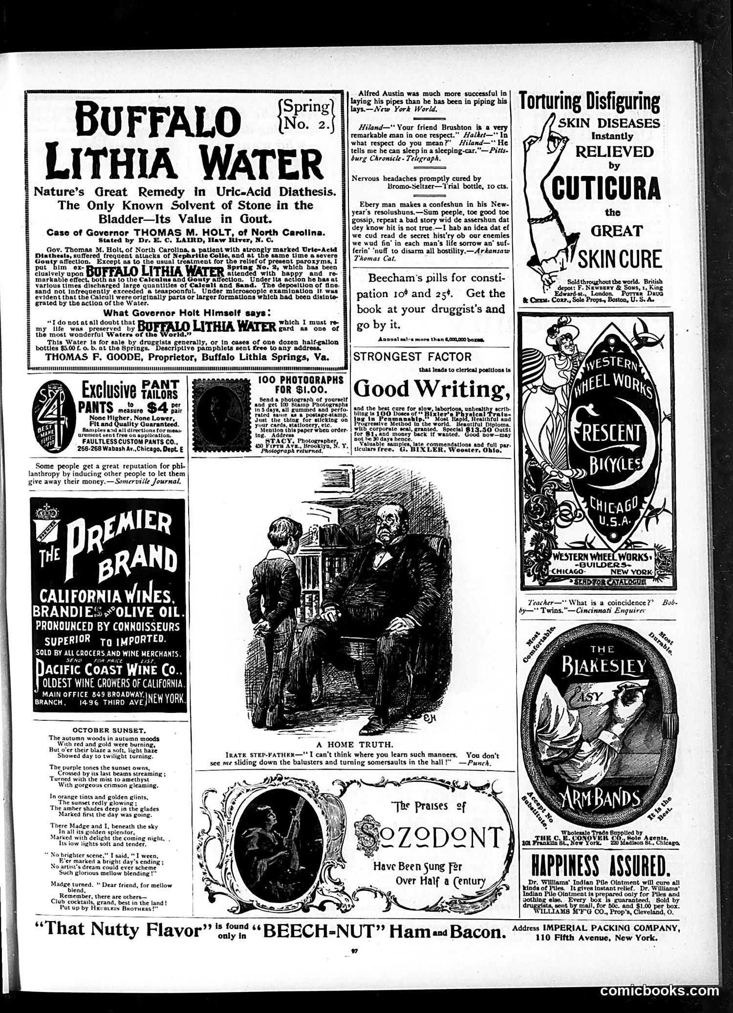 Judge — February 8, 1896 — page 13