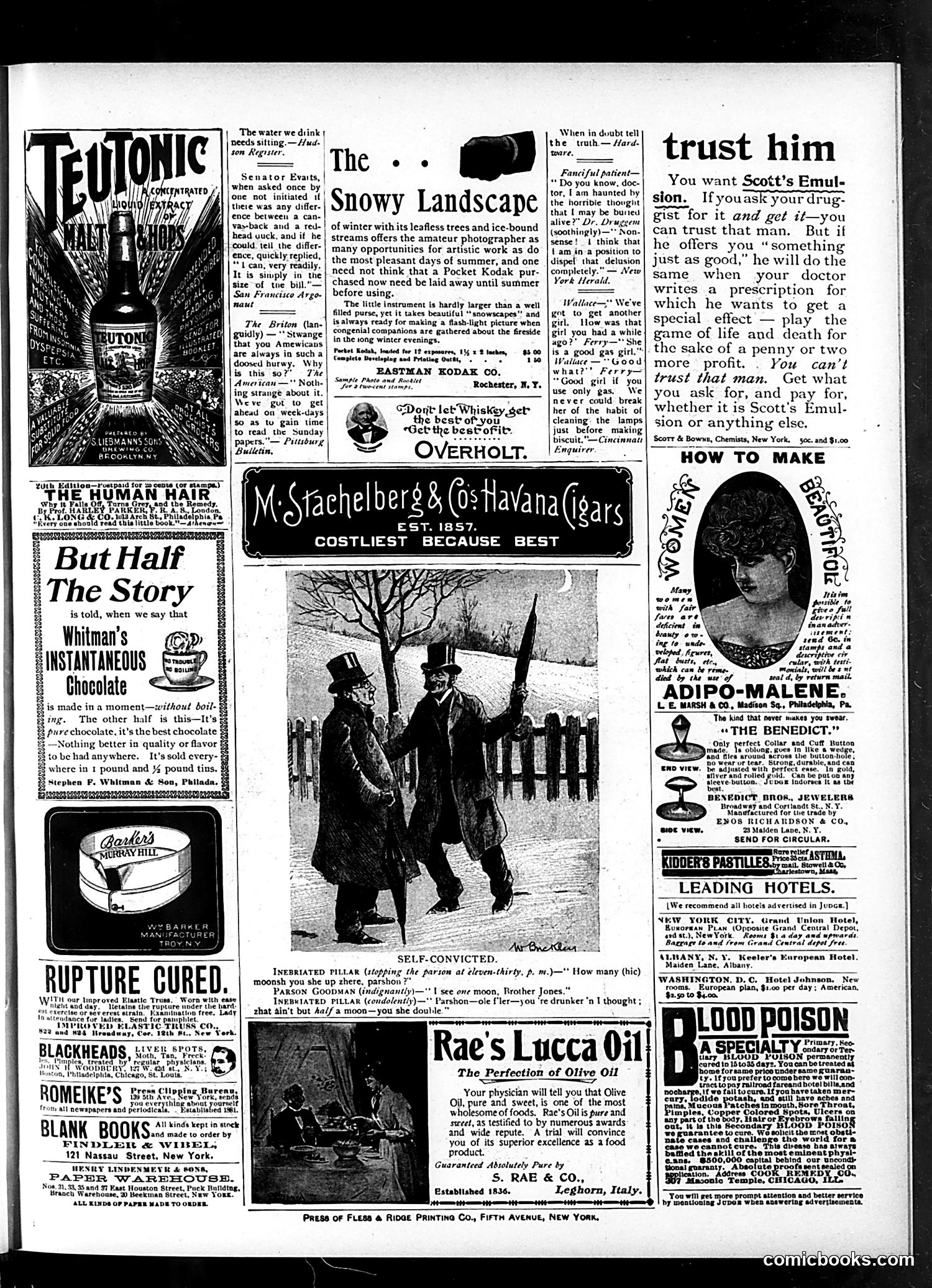 Judge — February 15, 1896 — page 15