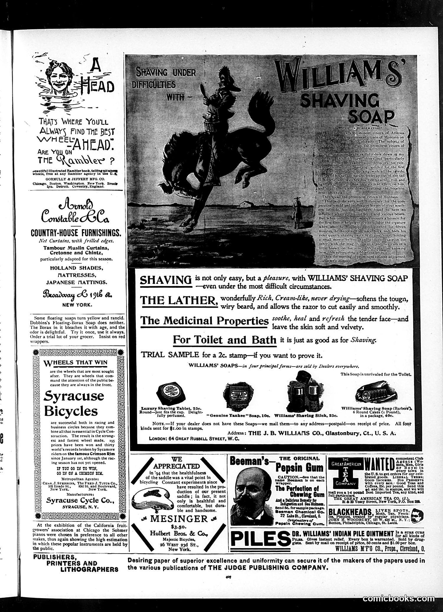 Judge — June 13, 1896 — page 13