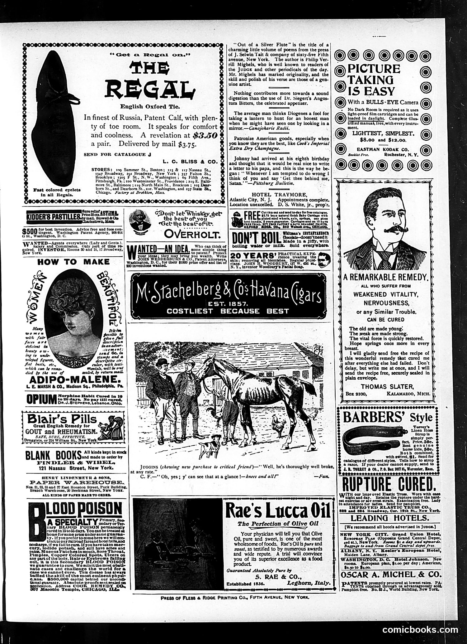 Judge — June 20, 1896 — page 19
