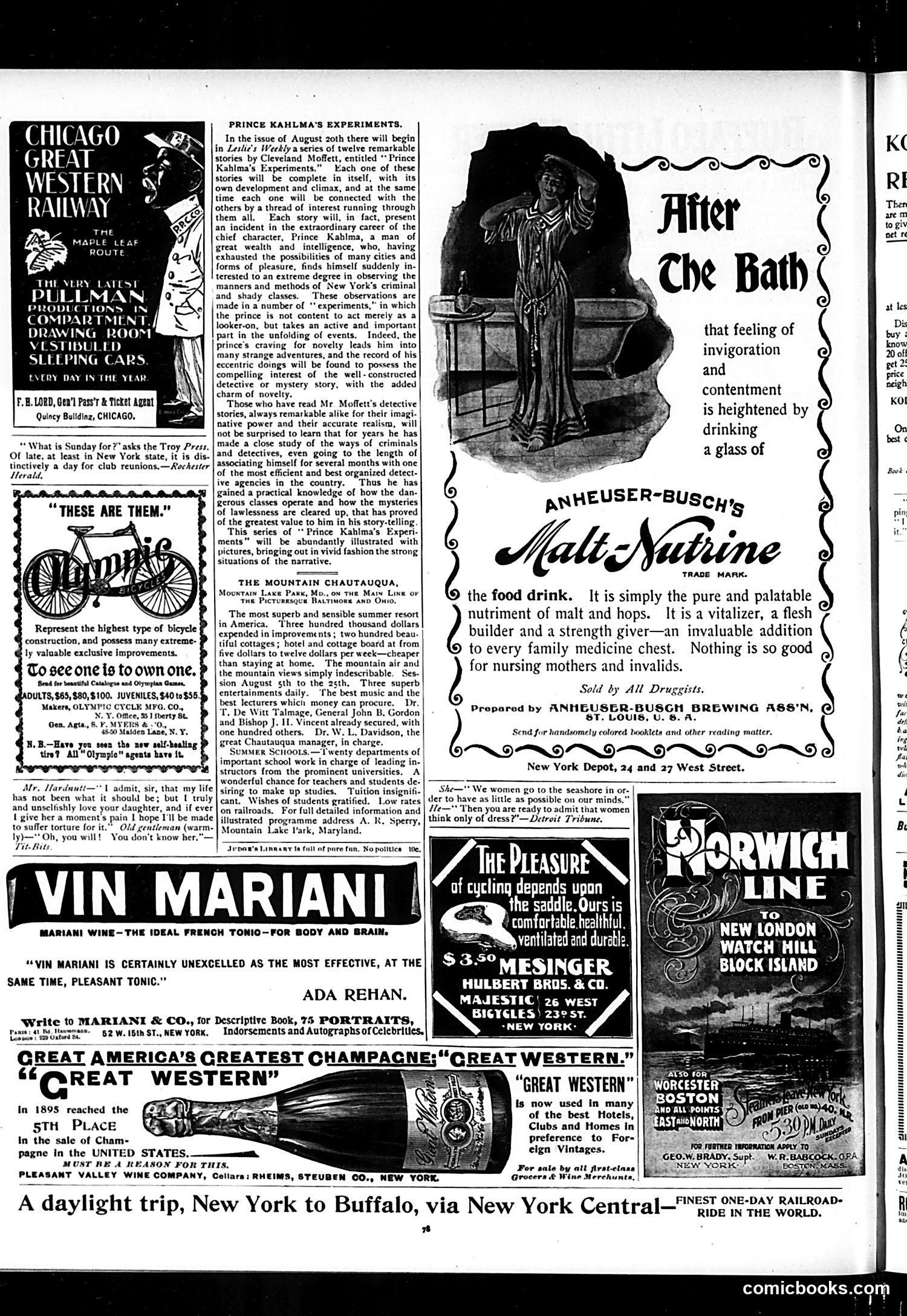 Judge — August 1, 1896 — page 14