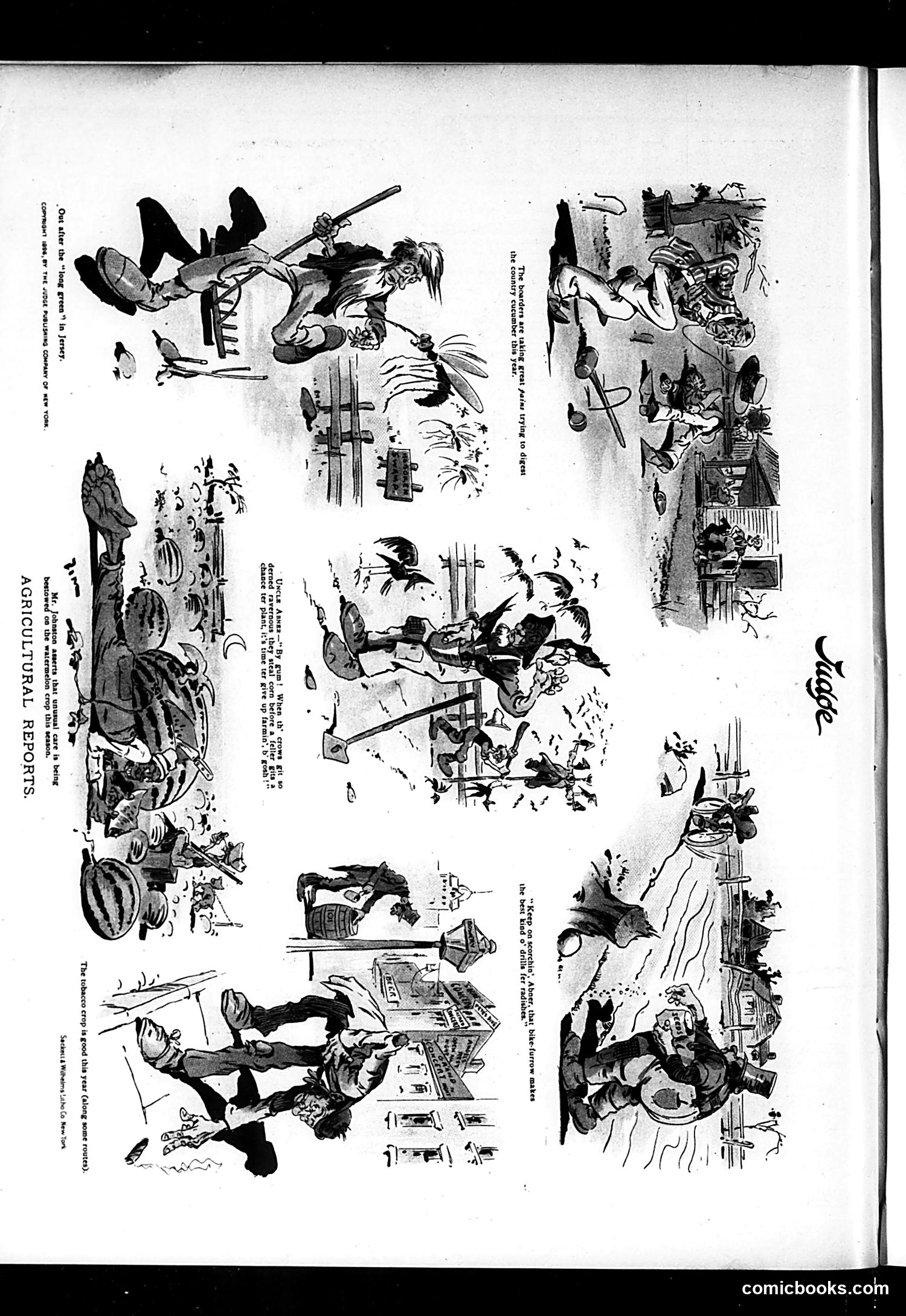 Judge — August 15, 1896 — page 16