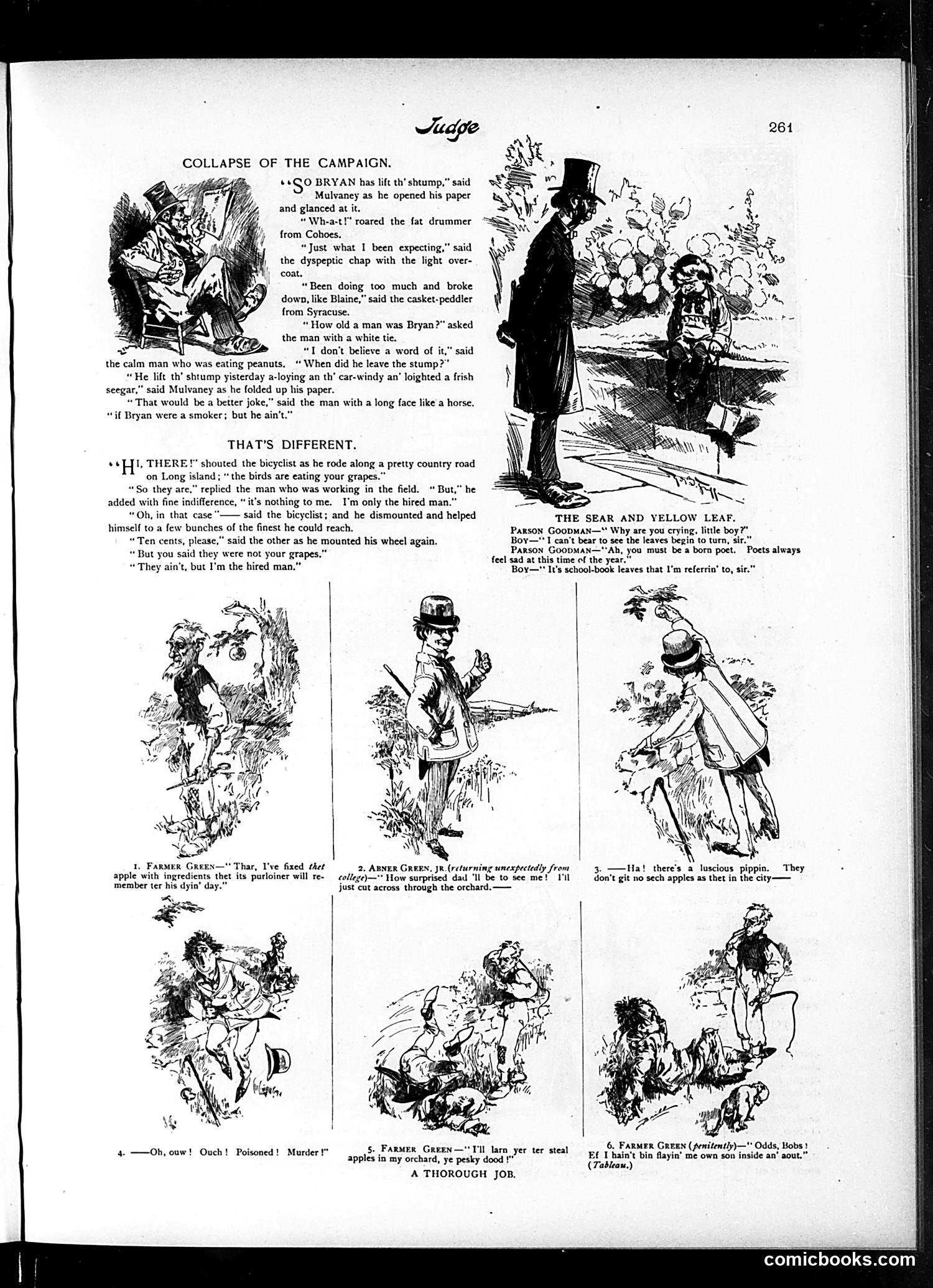 Judge — October 24, 1896 — page 5