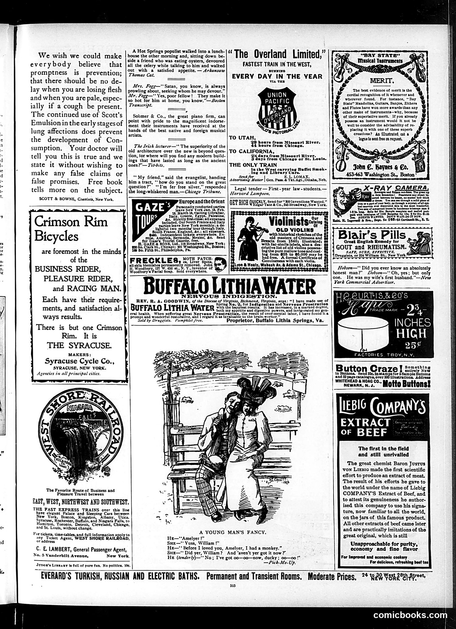 Judge — November 21, 1896 — page 13