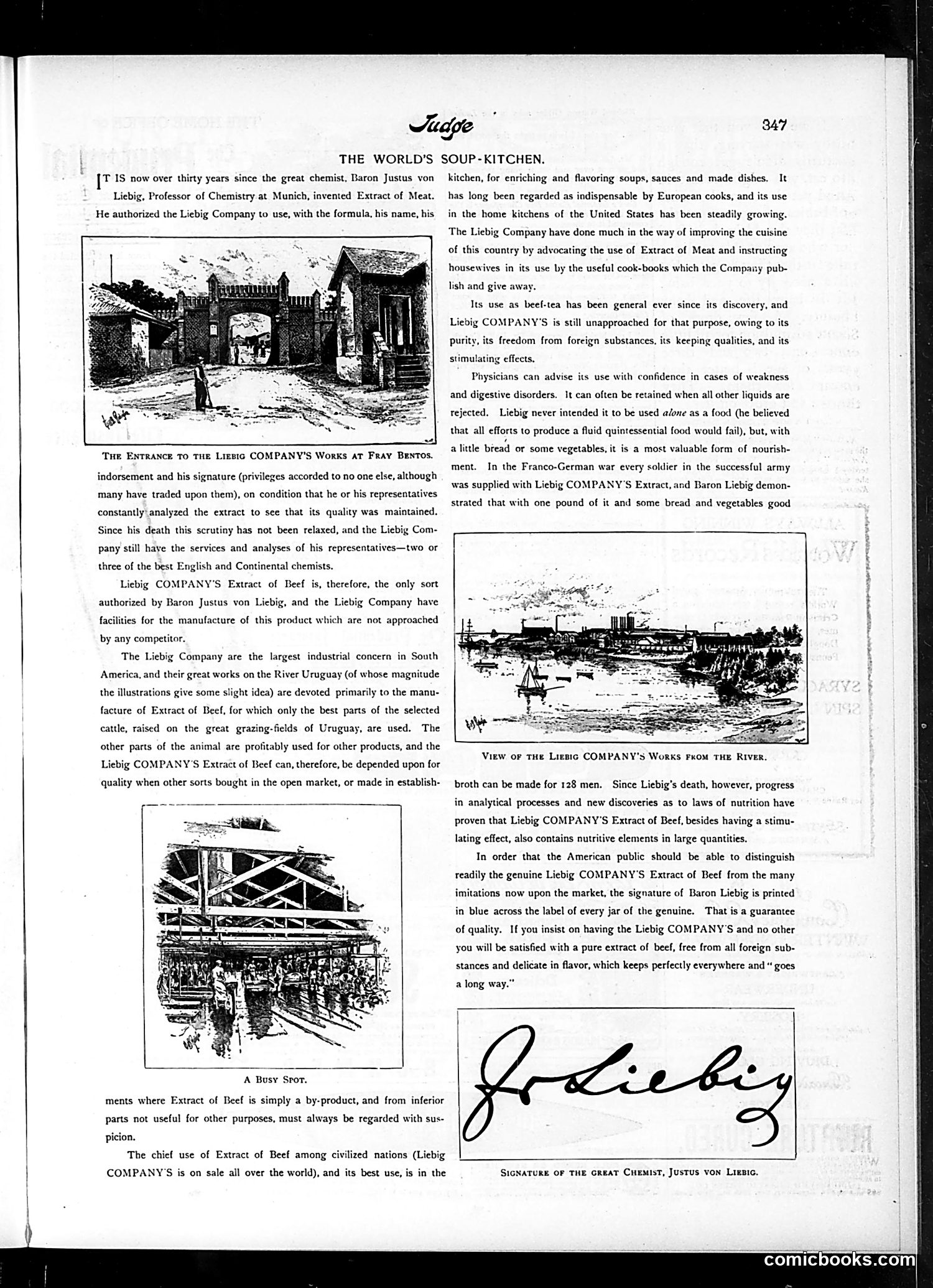 Judge — November 28, 1896 — page 11
