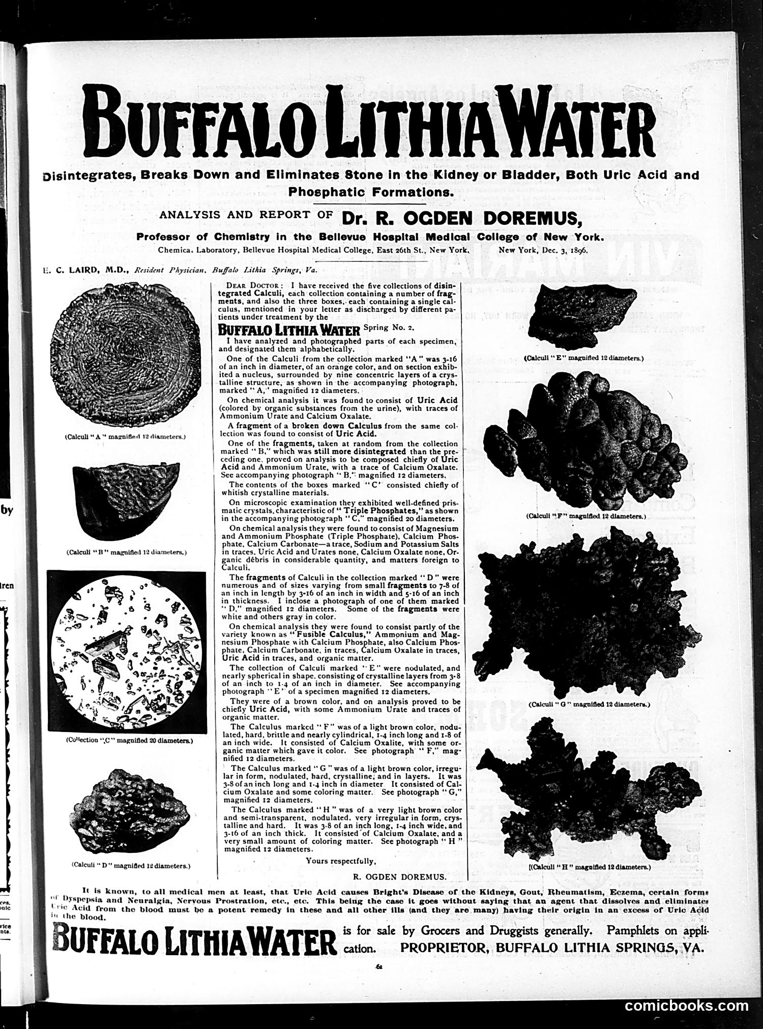Judge — January 23, 1897 — page 13