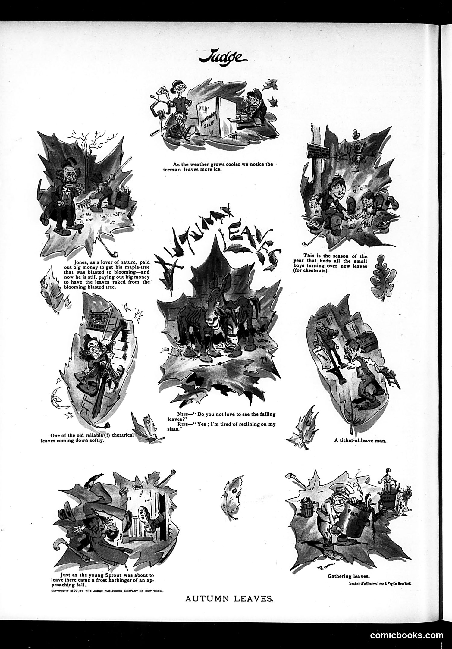 Judge — November 20, 1897 — page 16