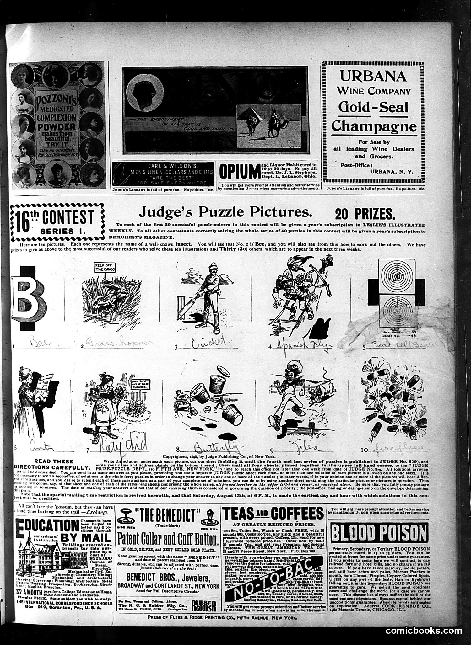 Judge — July 30, 1898 — page 15