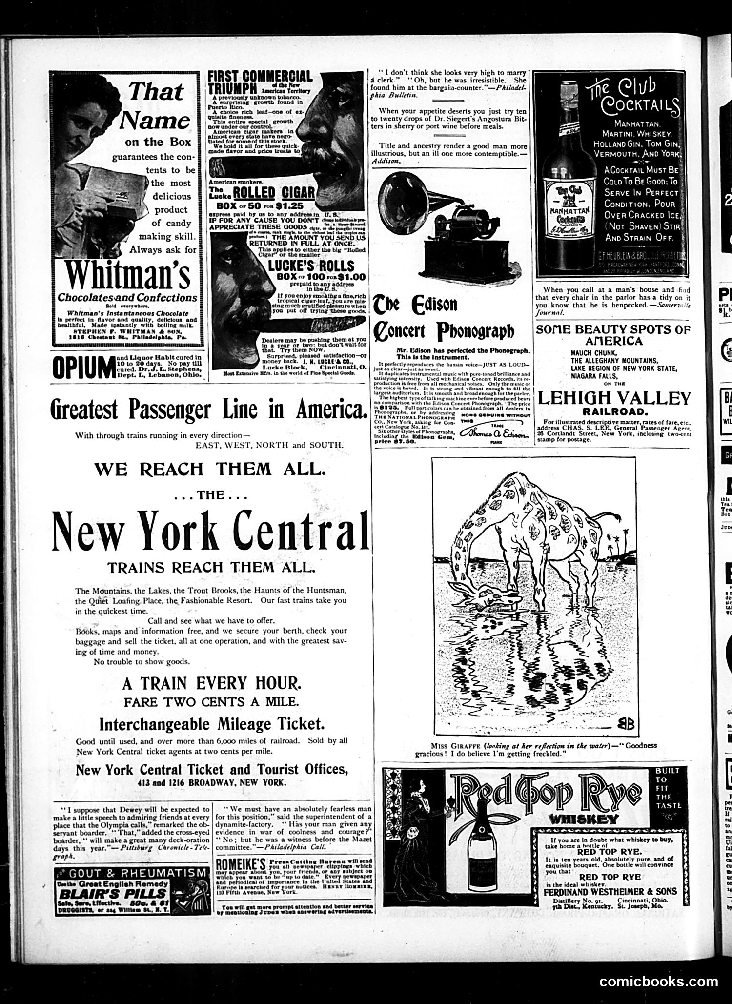 Judge — July 8, 1899 — page 16