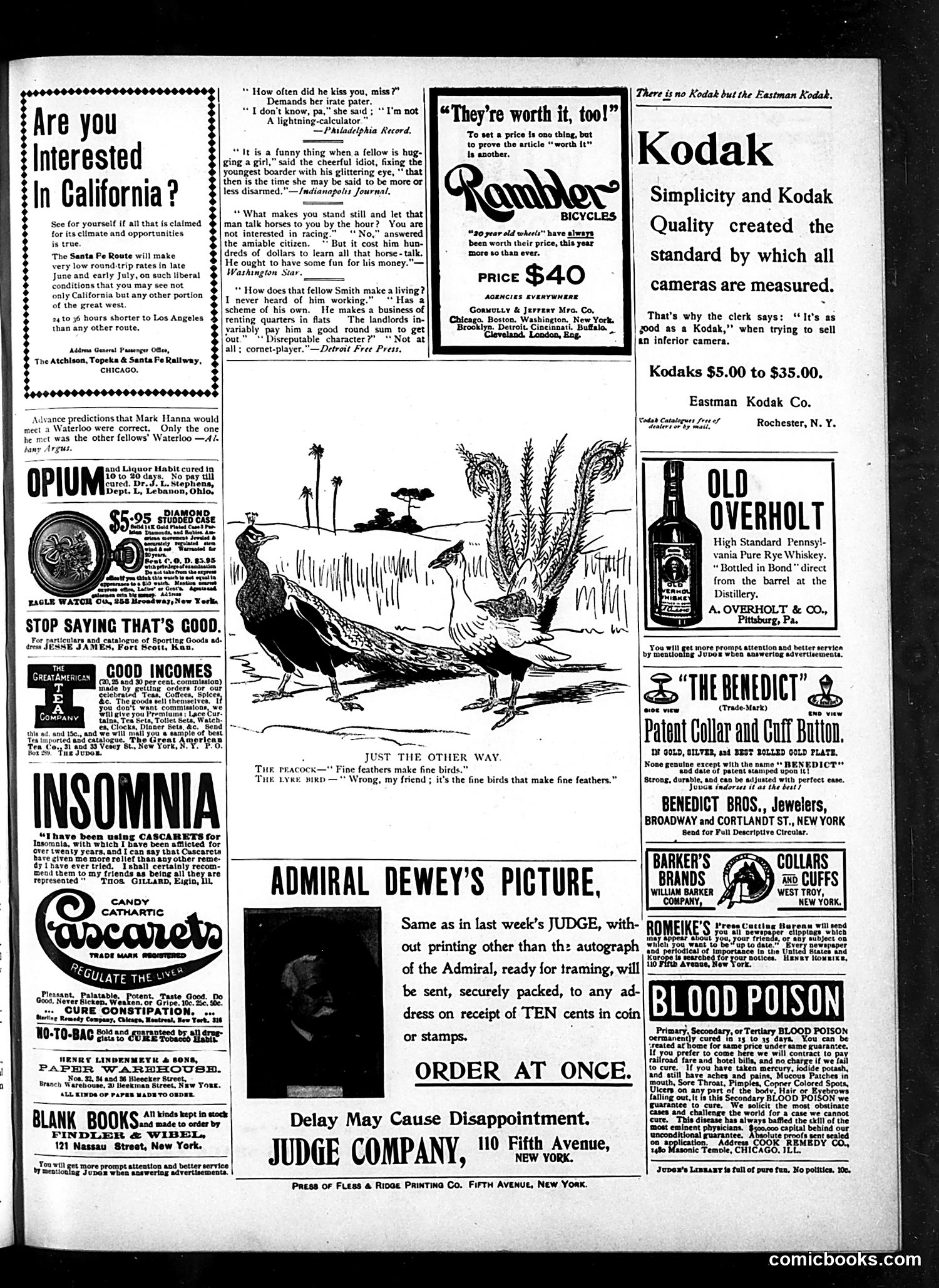Judge — July 15, 1899 — page 15