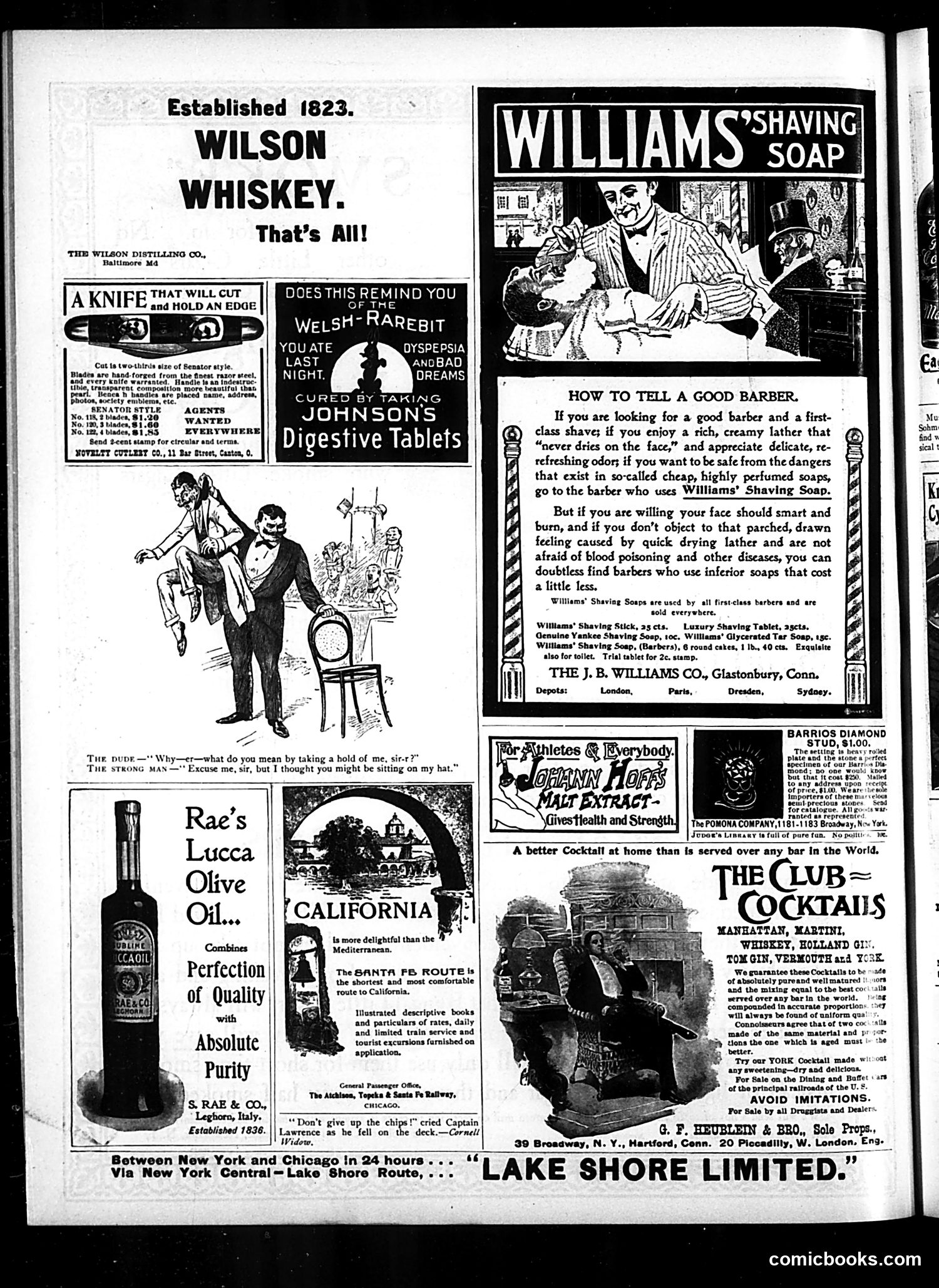 Judge — November 11, 1899 — page 12