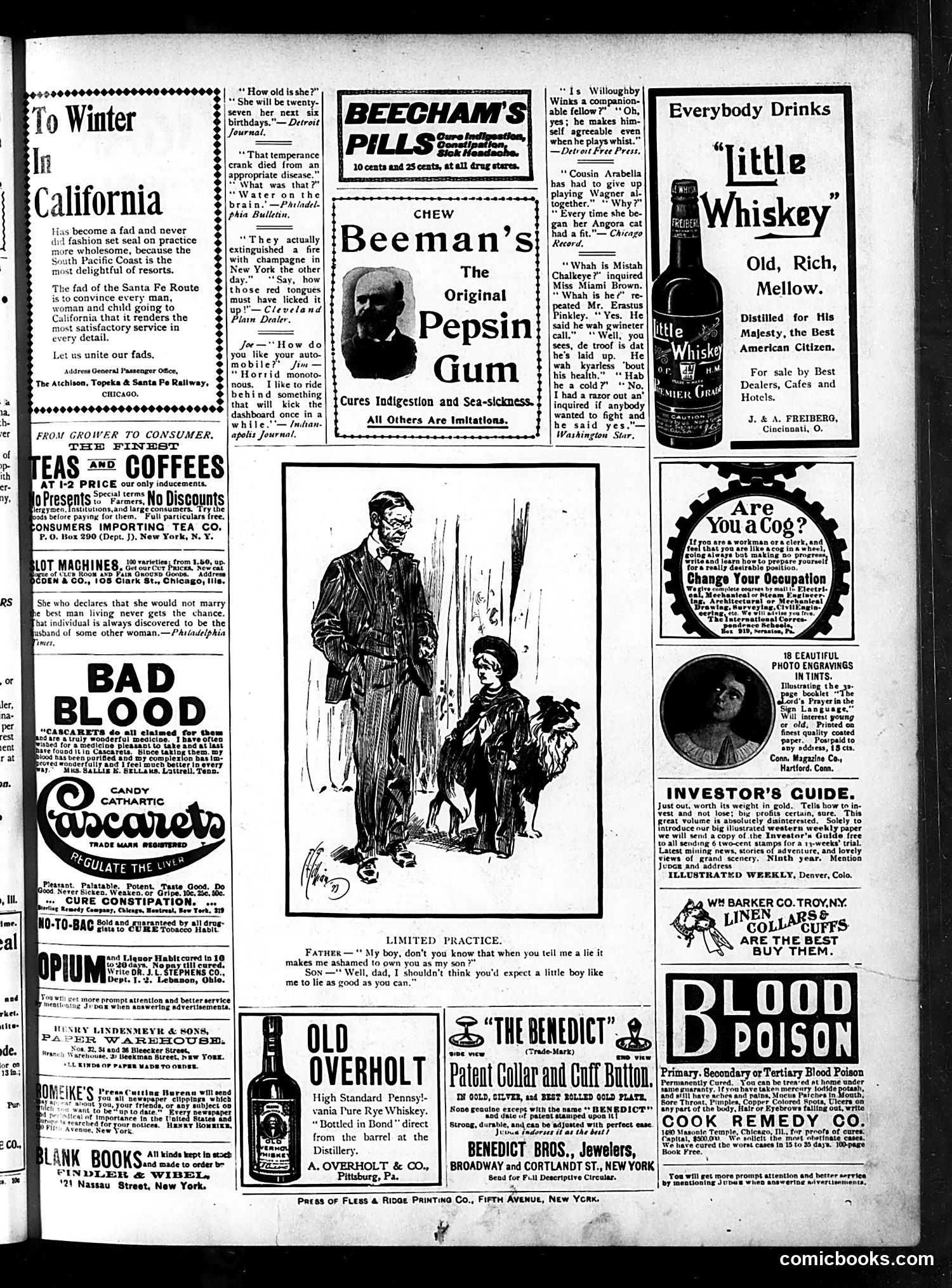 Judge — January 27, 1900 — page 15