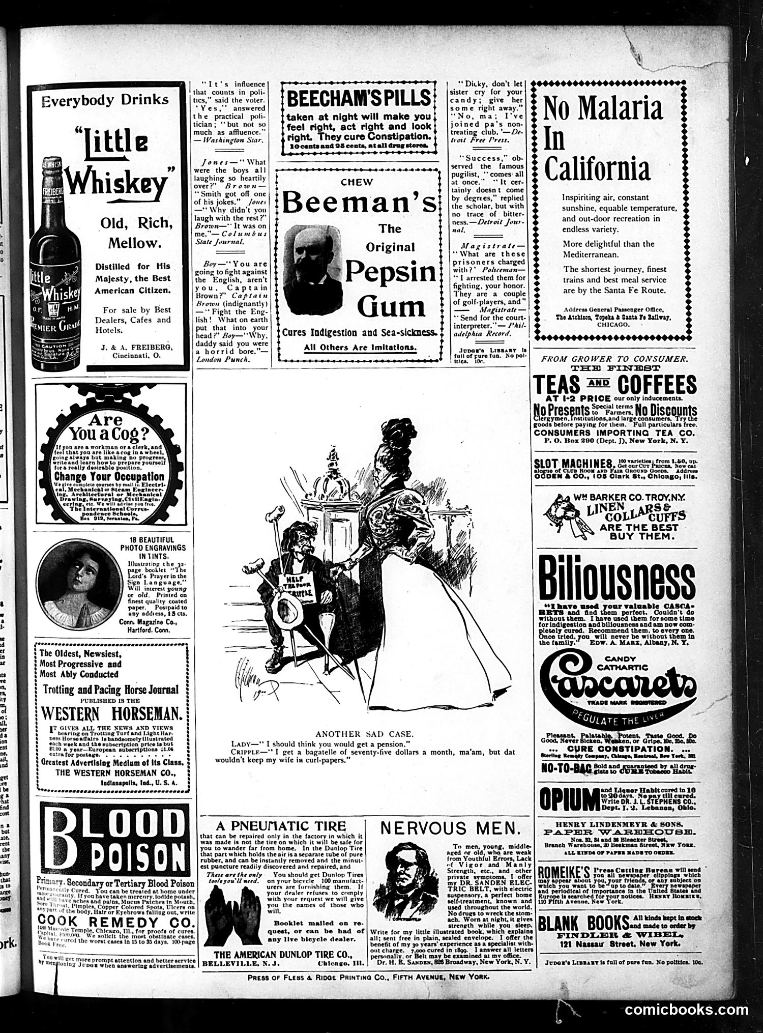Judge — February 10, 1900 — page 15
