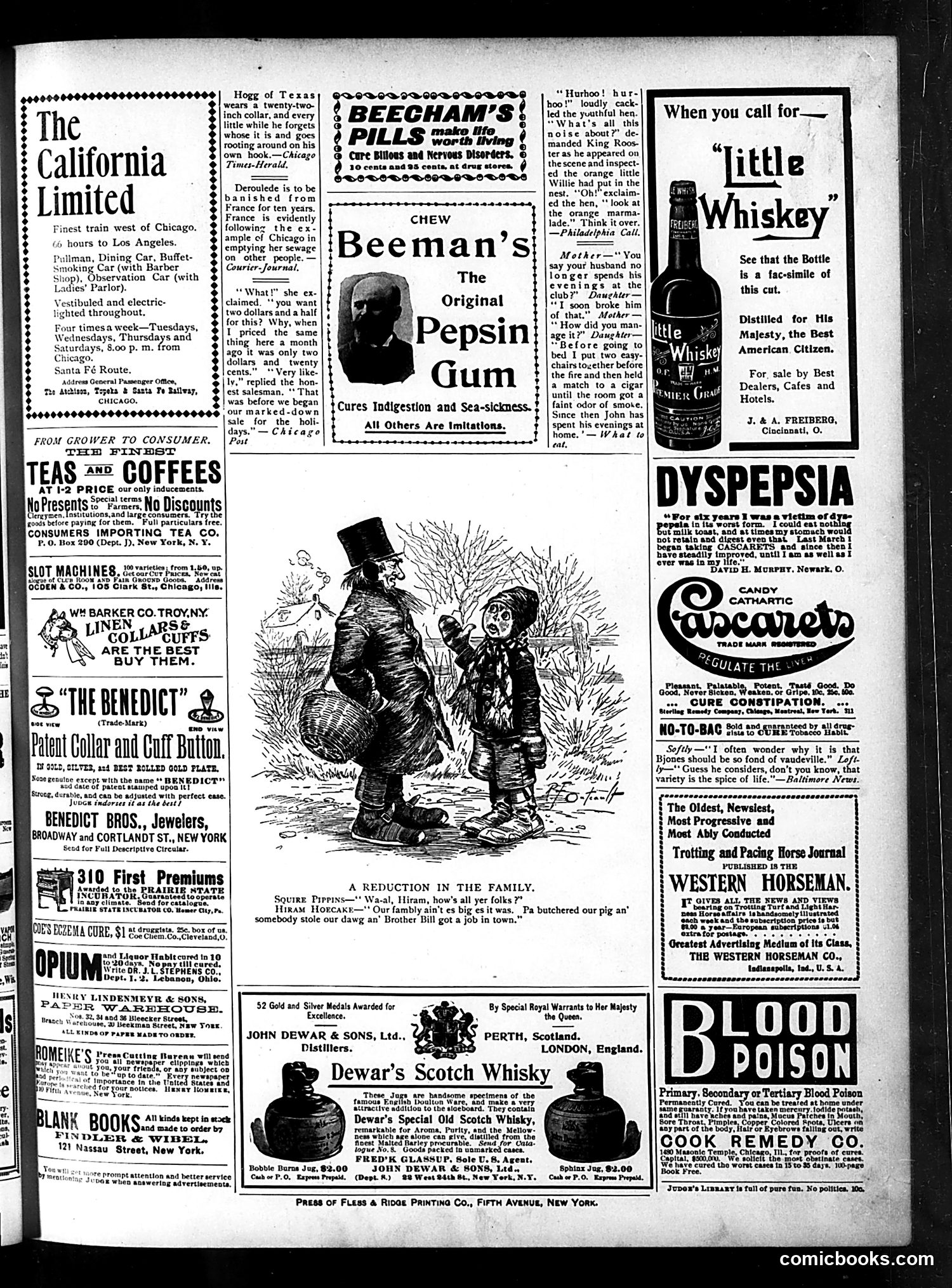 Judge — February 24, 1900 — page 15