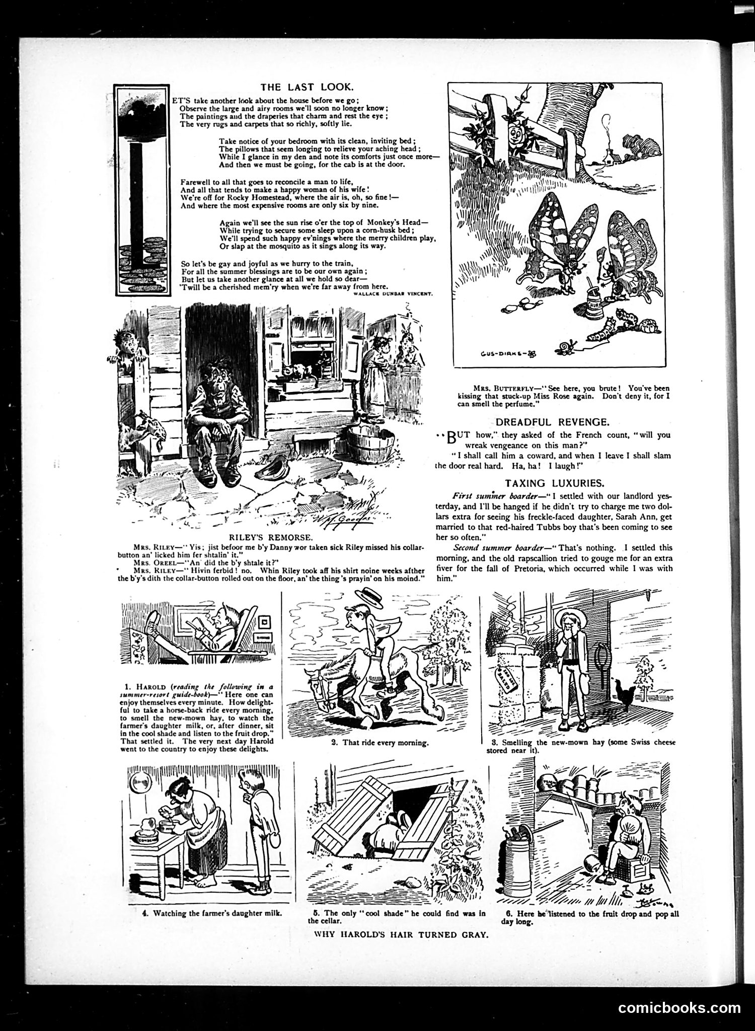 Judge — July 21, 1900 — page 6
