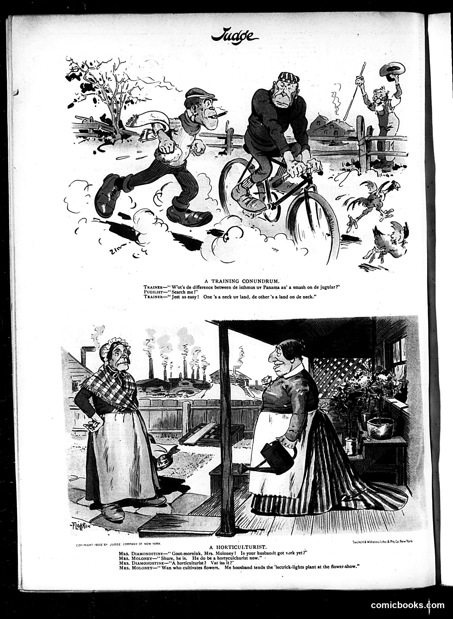 Judge — November 17, 1900 — page 16