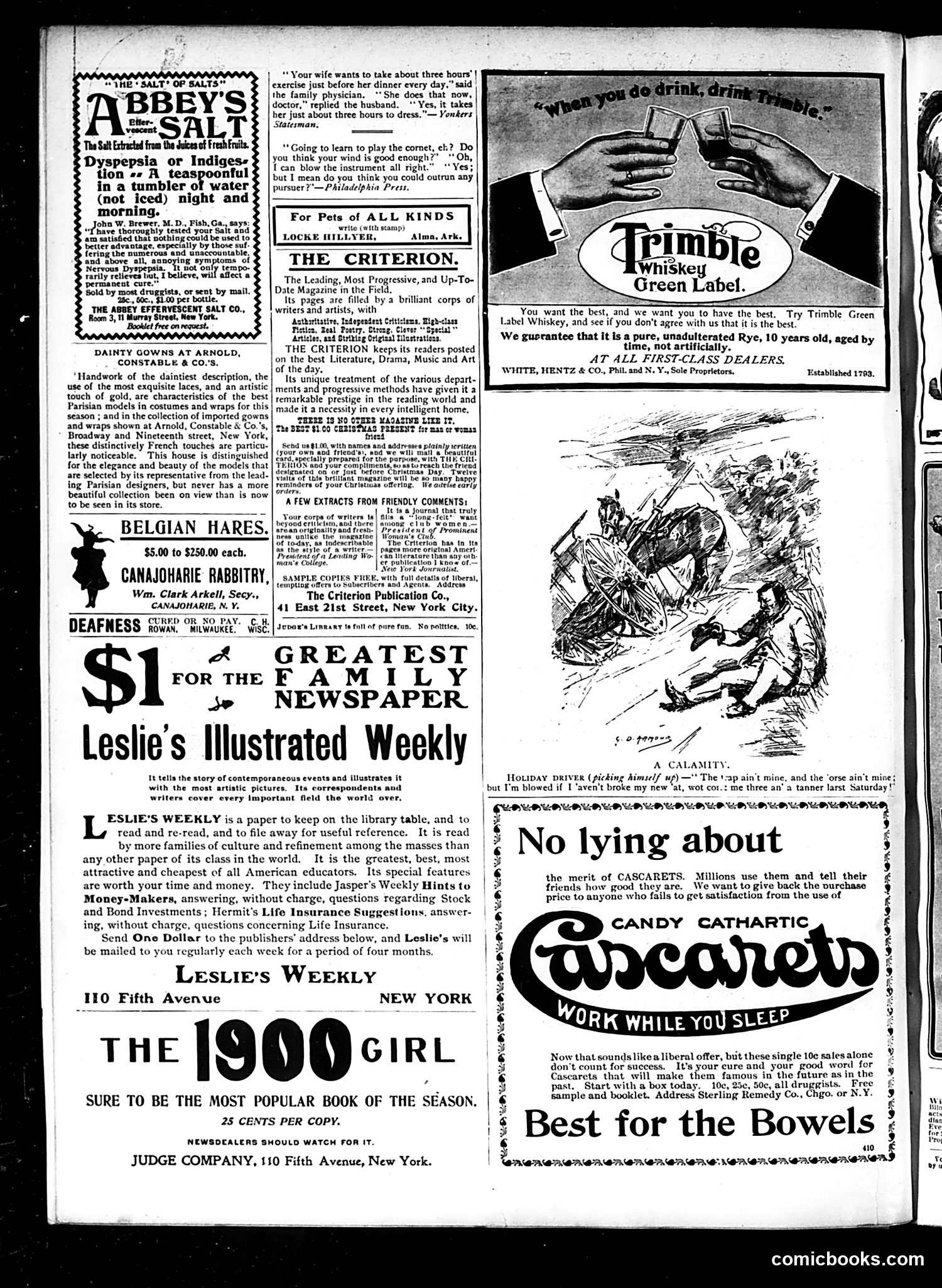Judge — November 24, 1900 — page 14