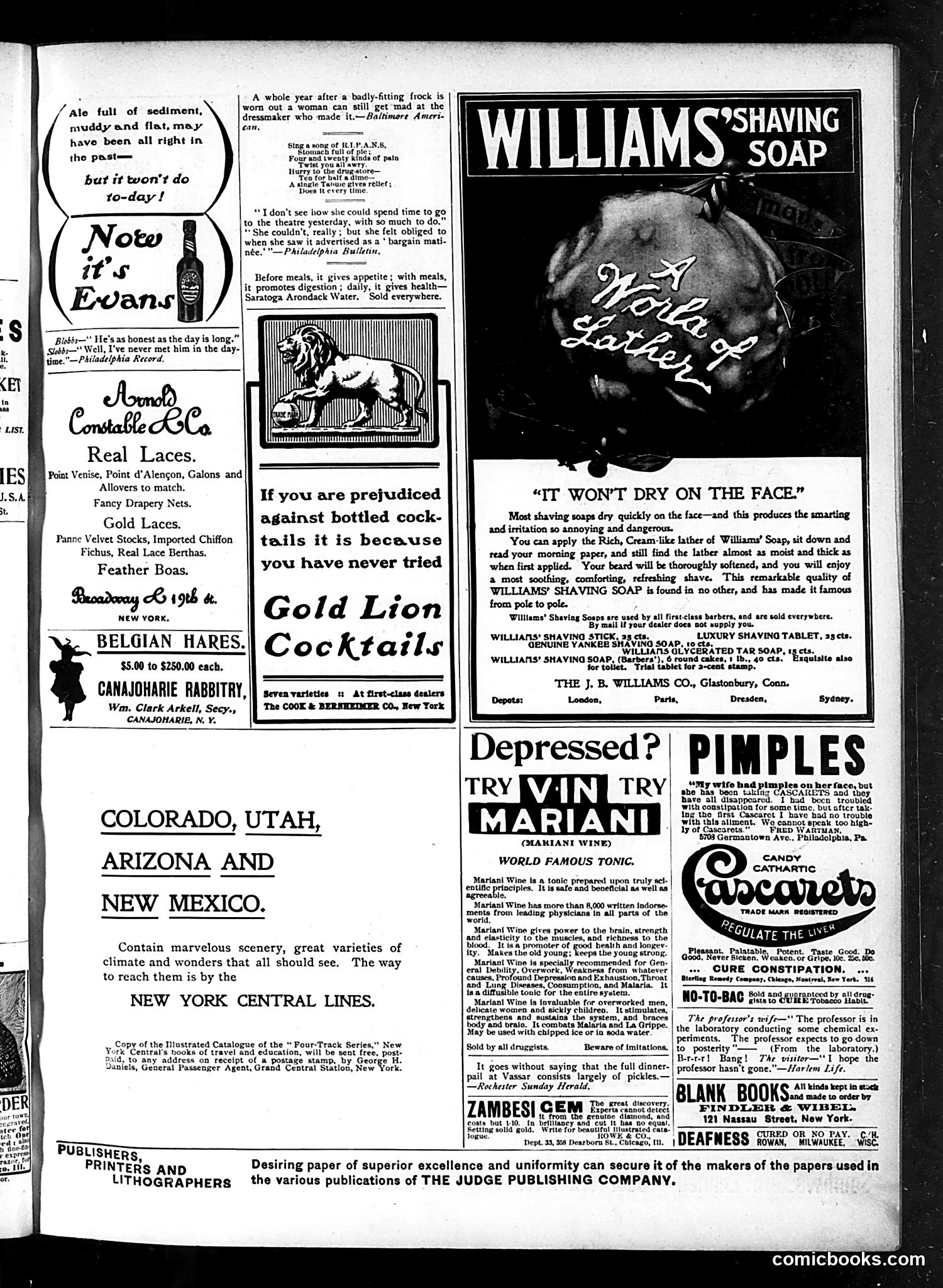 Judge — December 1, 1900 — page 13