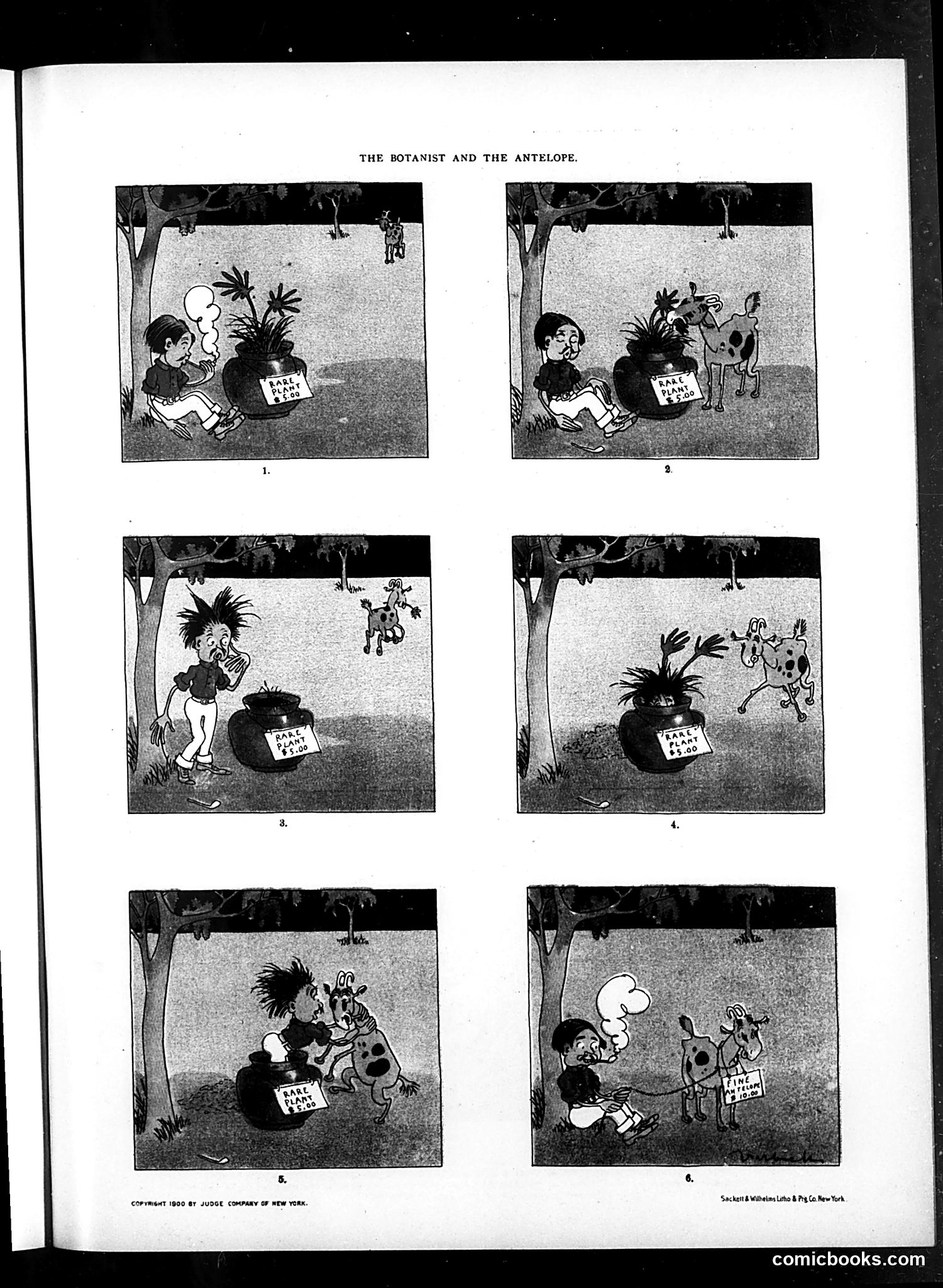 Judge — December 22, 1900 — page 11