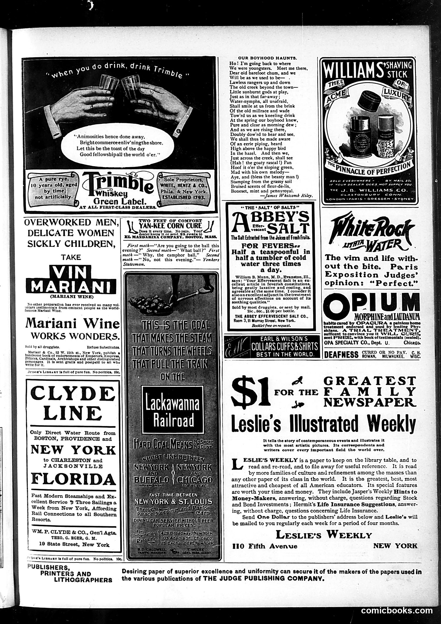 Judge — January 5, 1901 — page 13