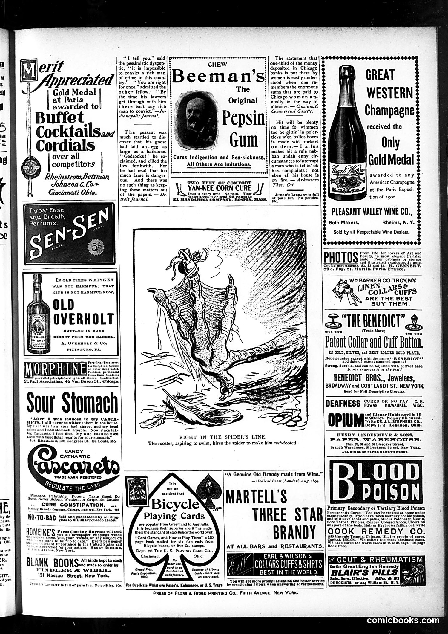 Judge — January 26, 1901 — page 15
