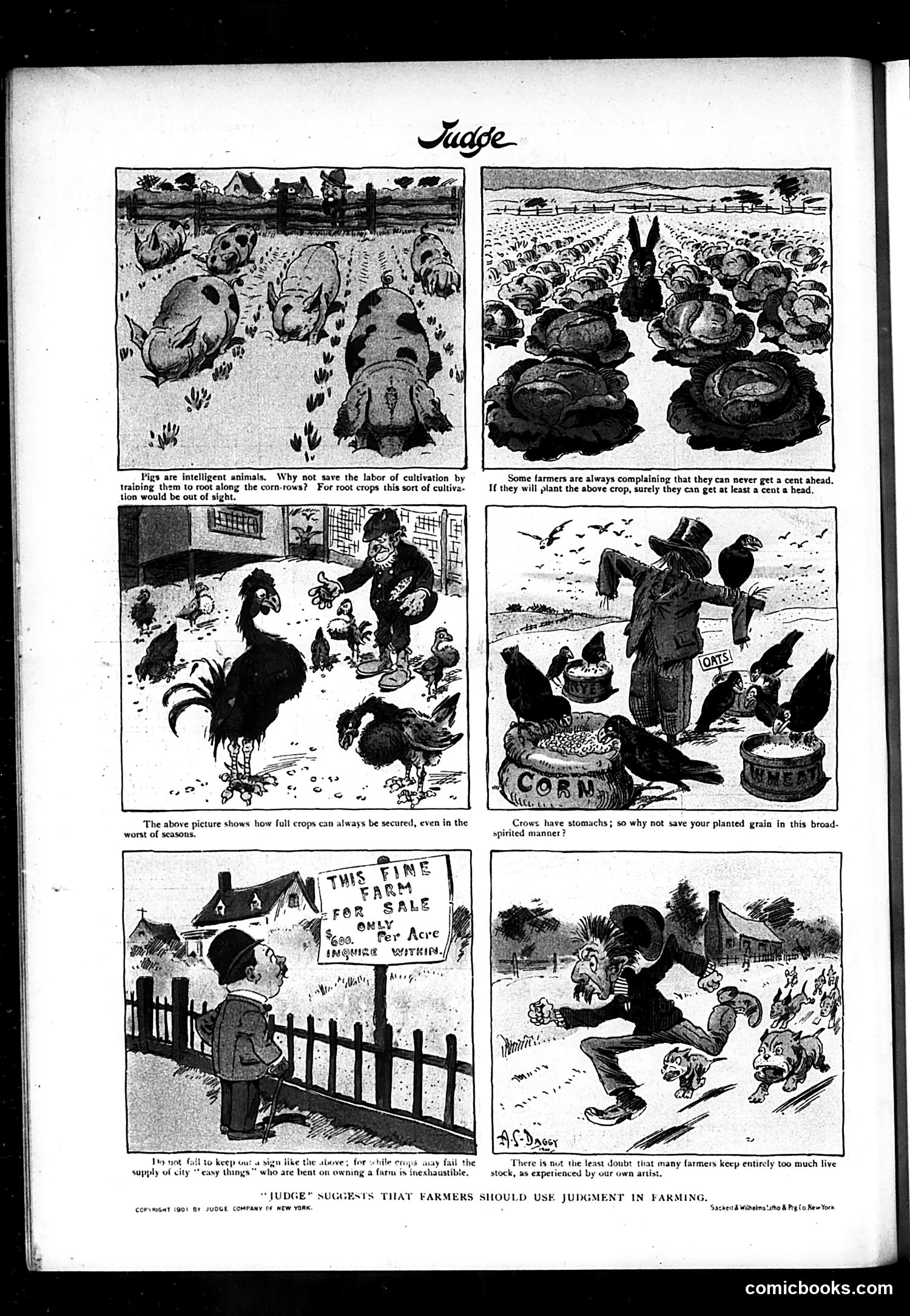 Judge — January 26, 1901 — page 16