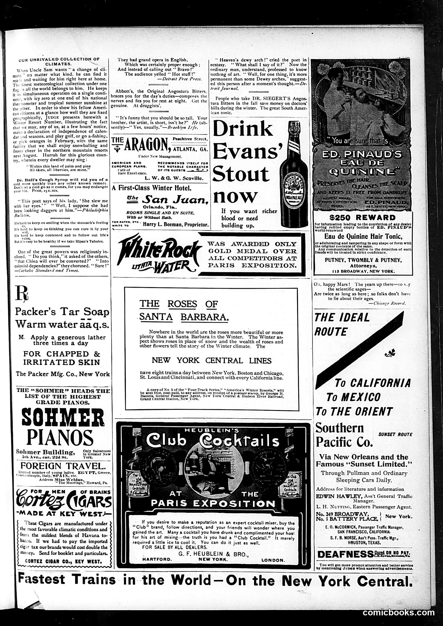 Judge — February 9, 1901 — page 11