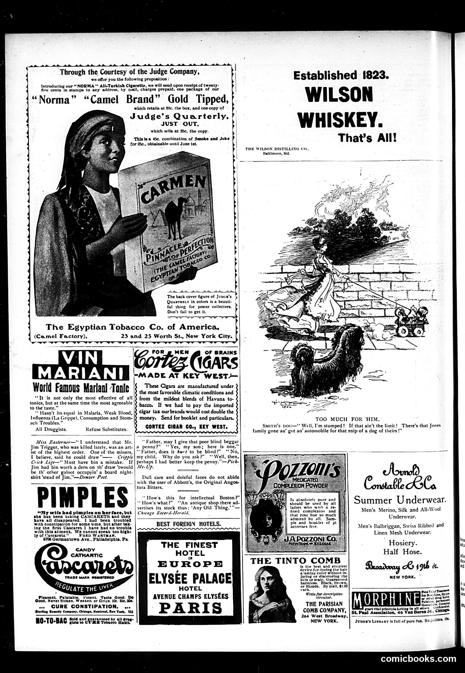 Judge — May 18, 1901 — page 12