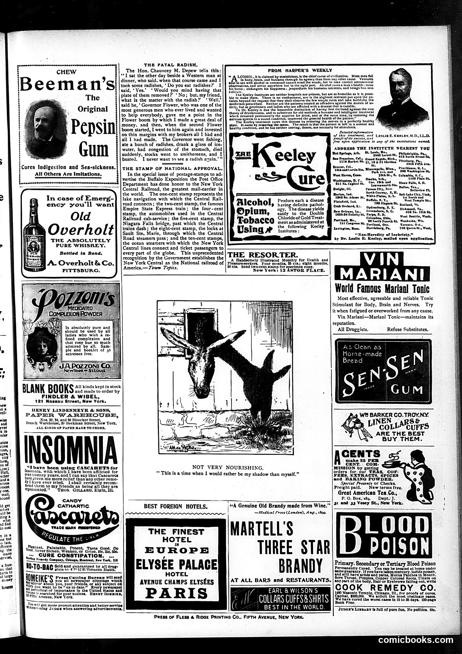 Judge — June 15, 1901 — page 15