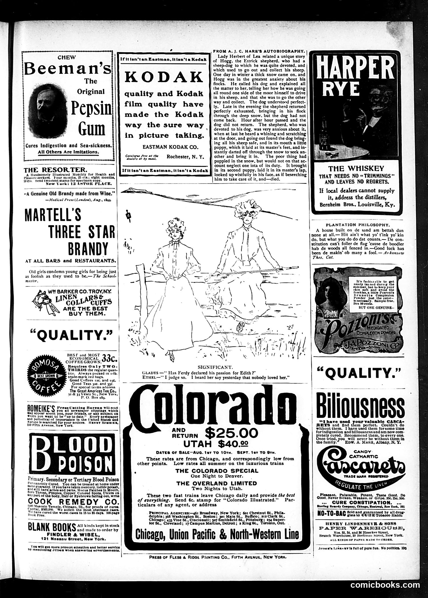 Judge — August 24, 1901 — page 15