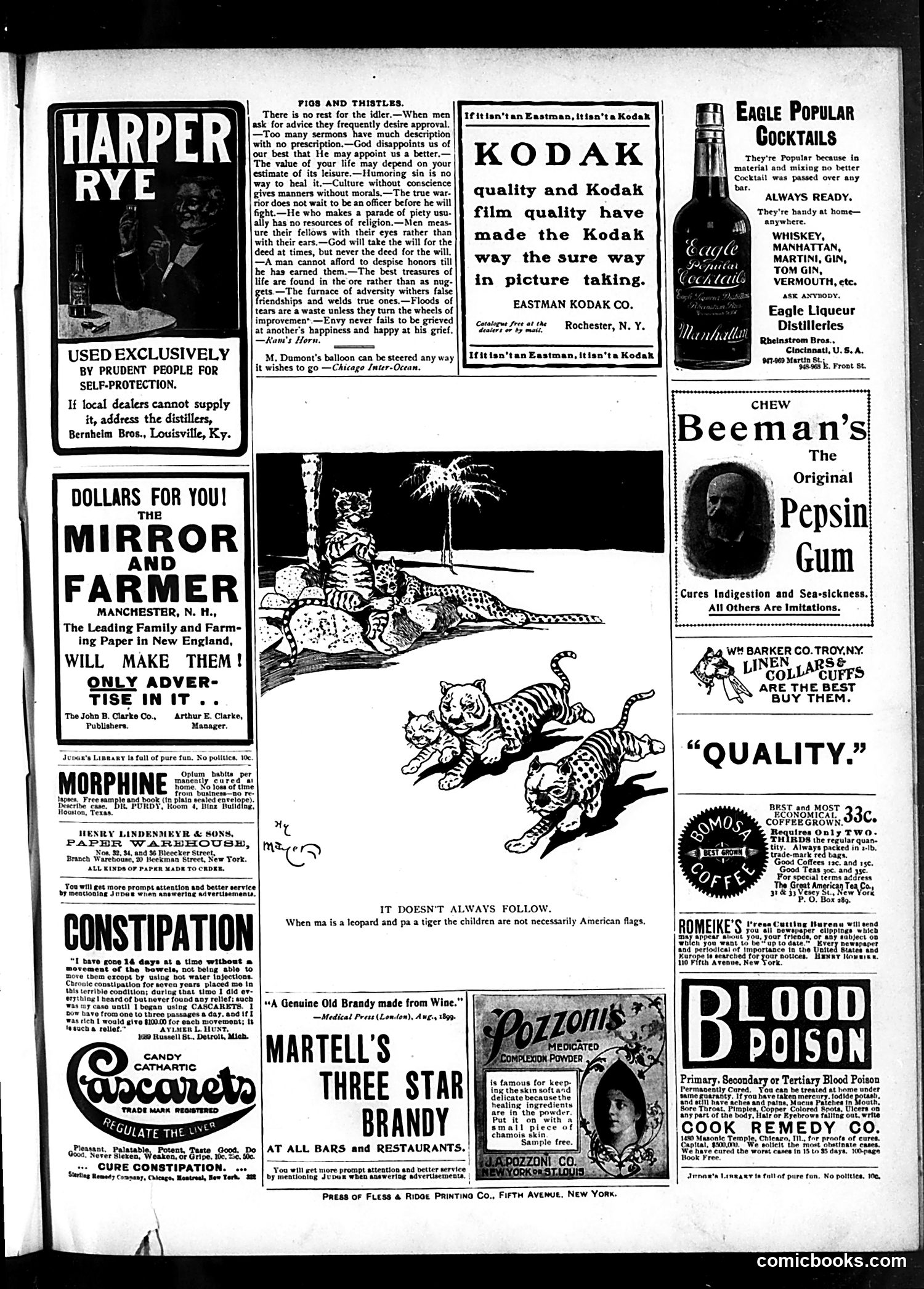 Judge — September 7, 1901 — page 17