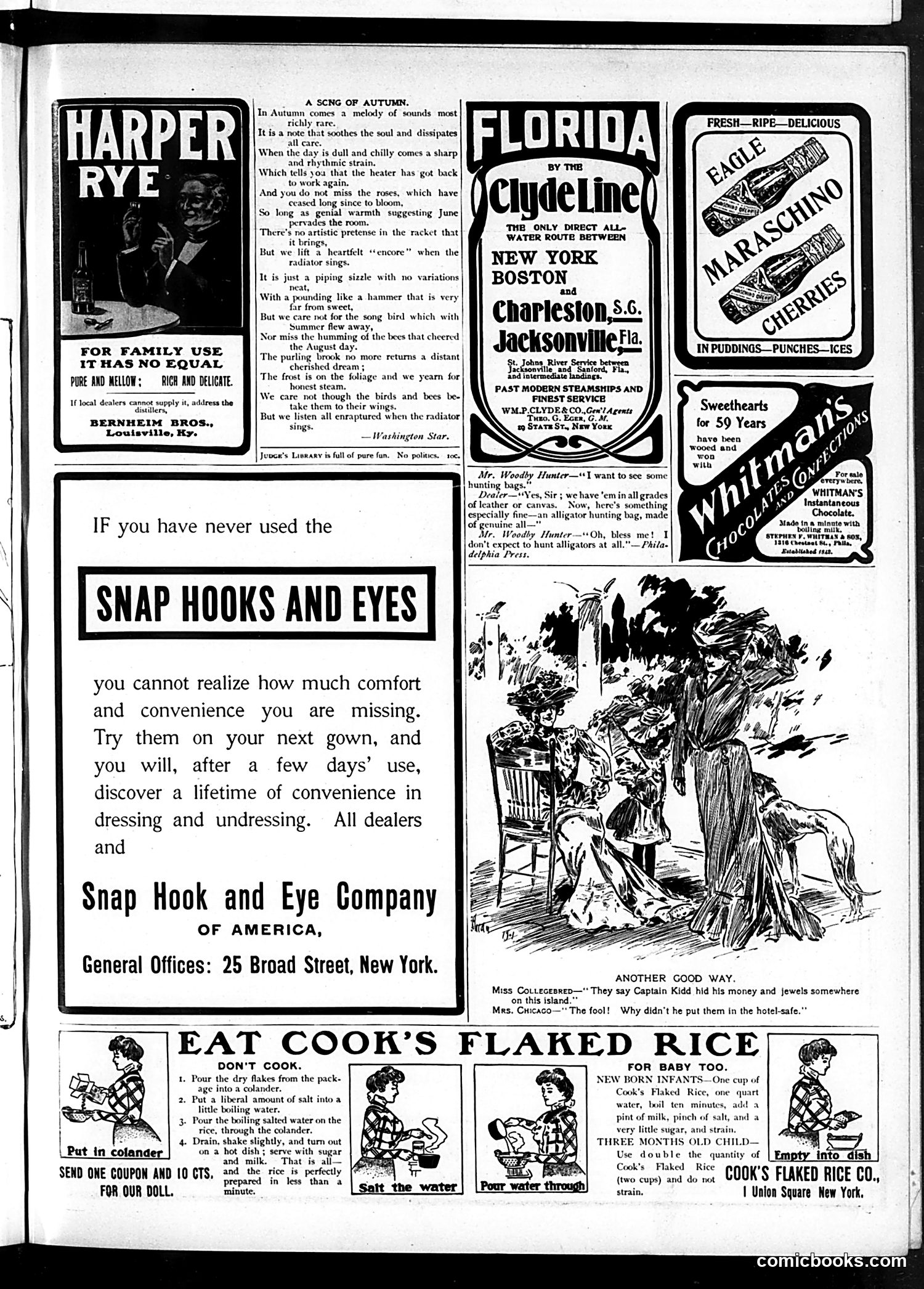 Judge — November 16, 1901 — page 13