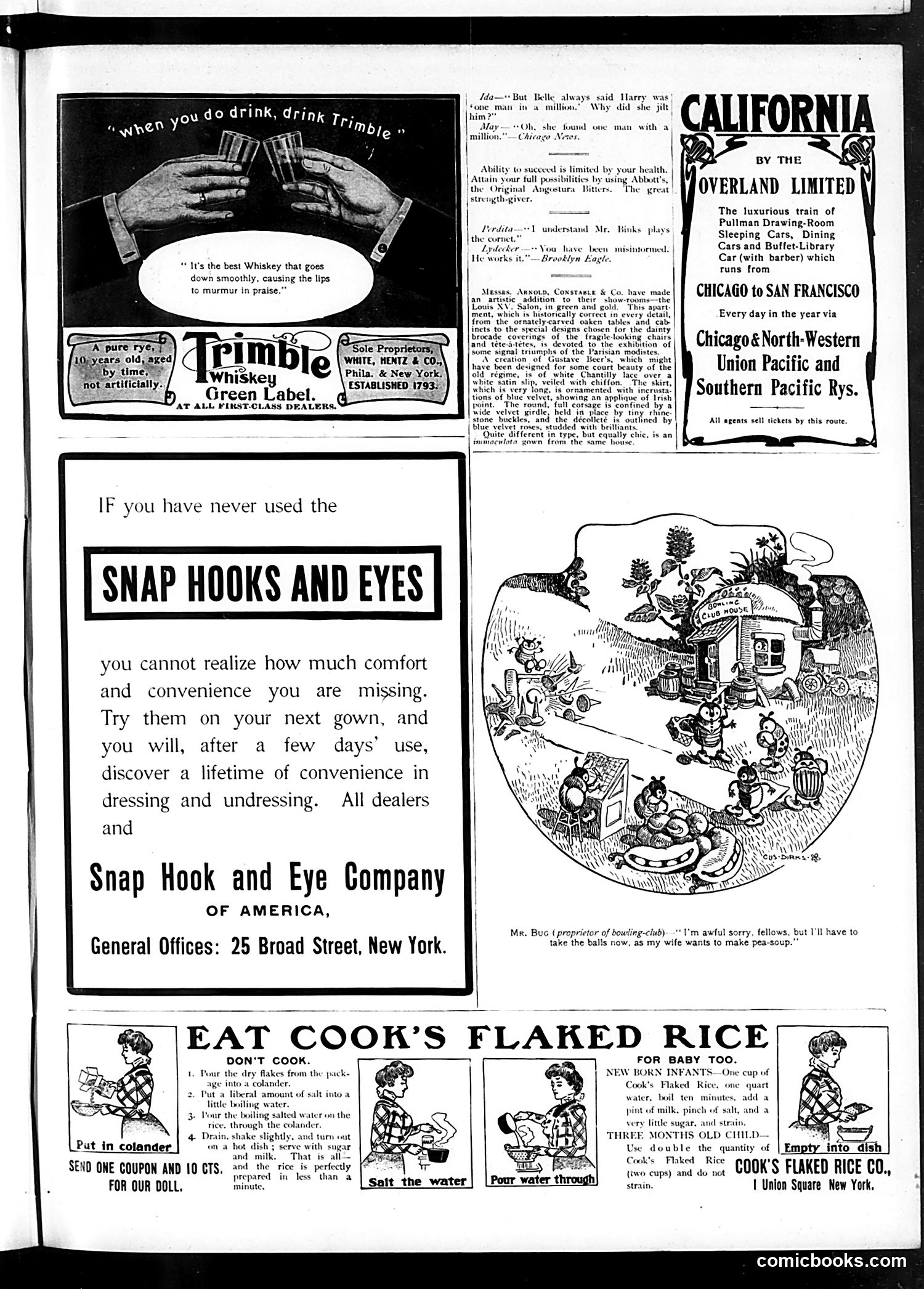 Judge — November 23, 1901 — page 13