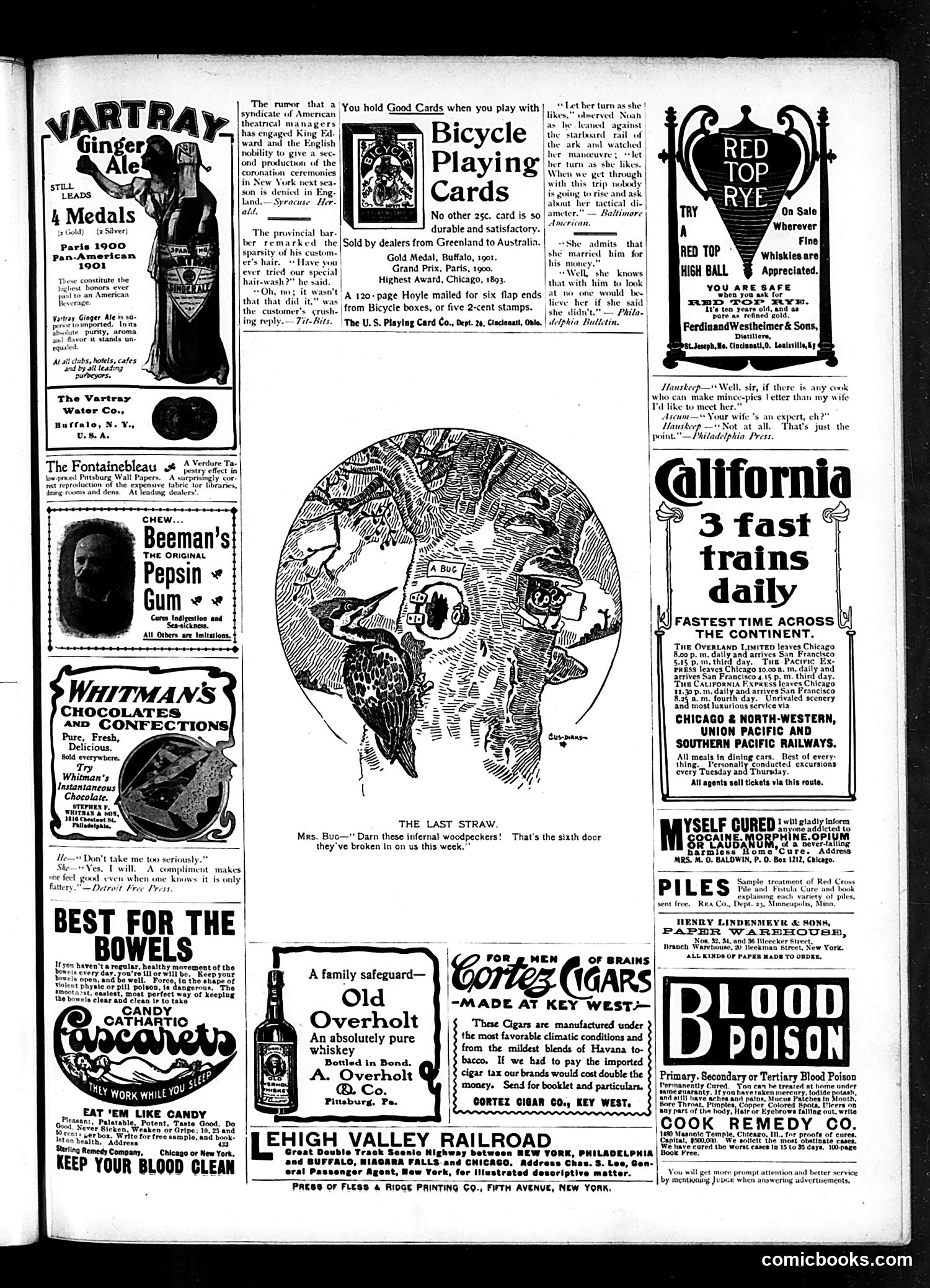 Judge — January 11, 1902 — page 15