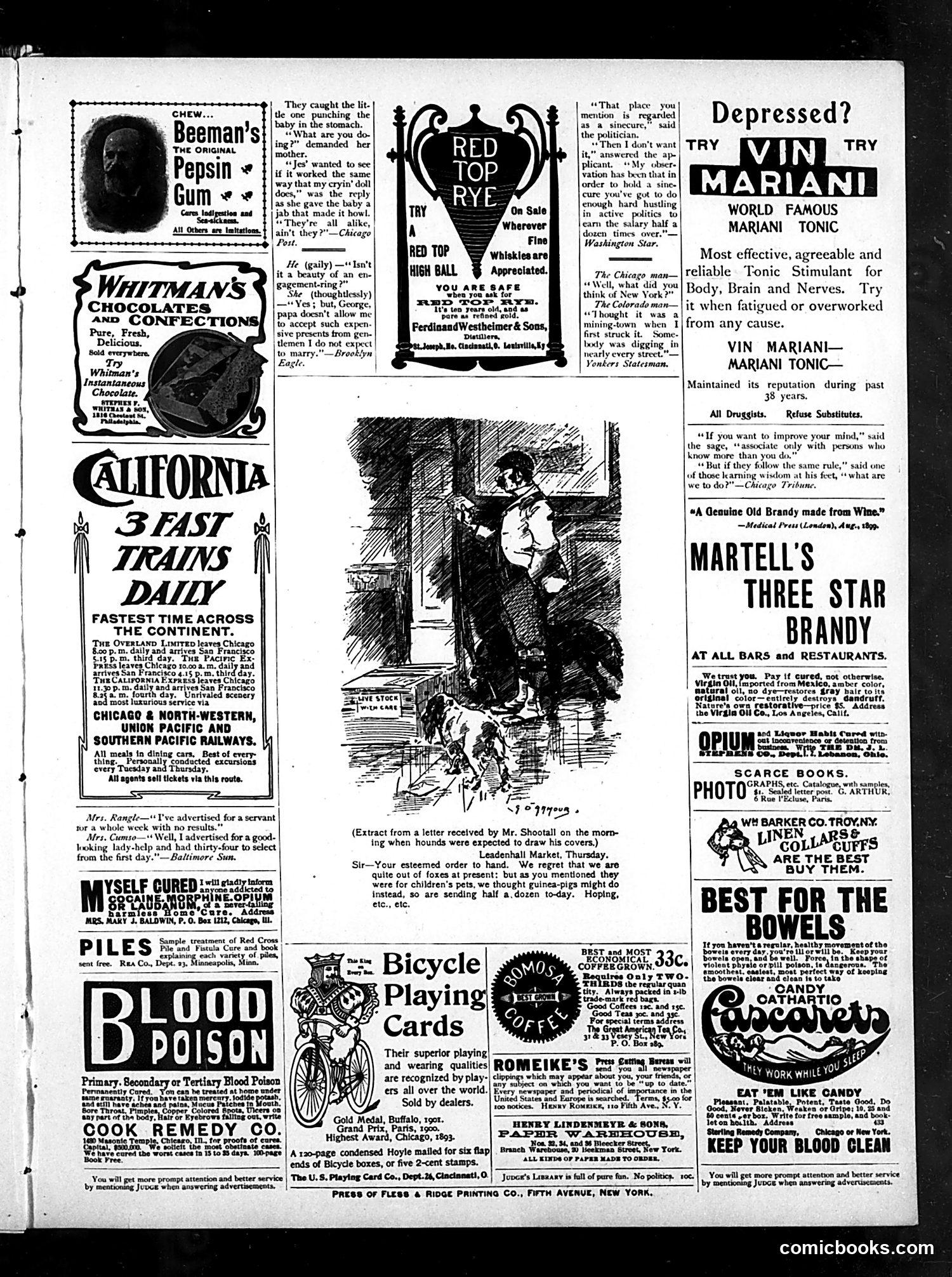 Judge — January 25, 1902 — page 15
