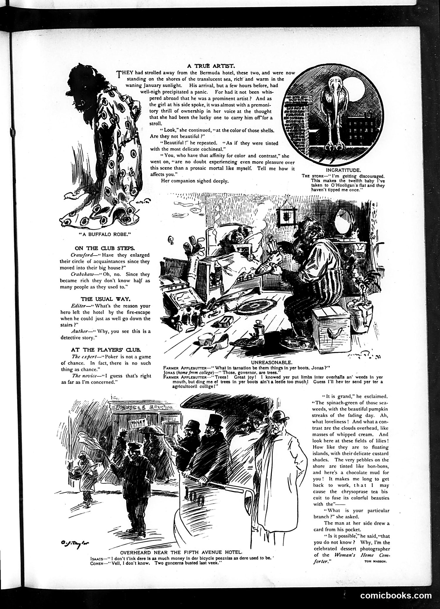 Judge — February 8, 1902 — page 9