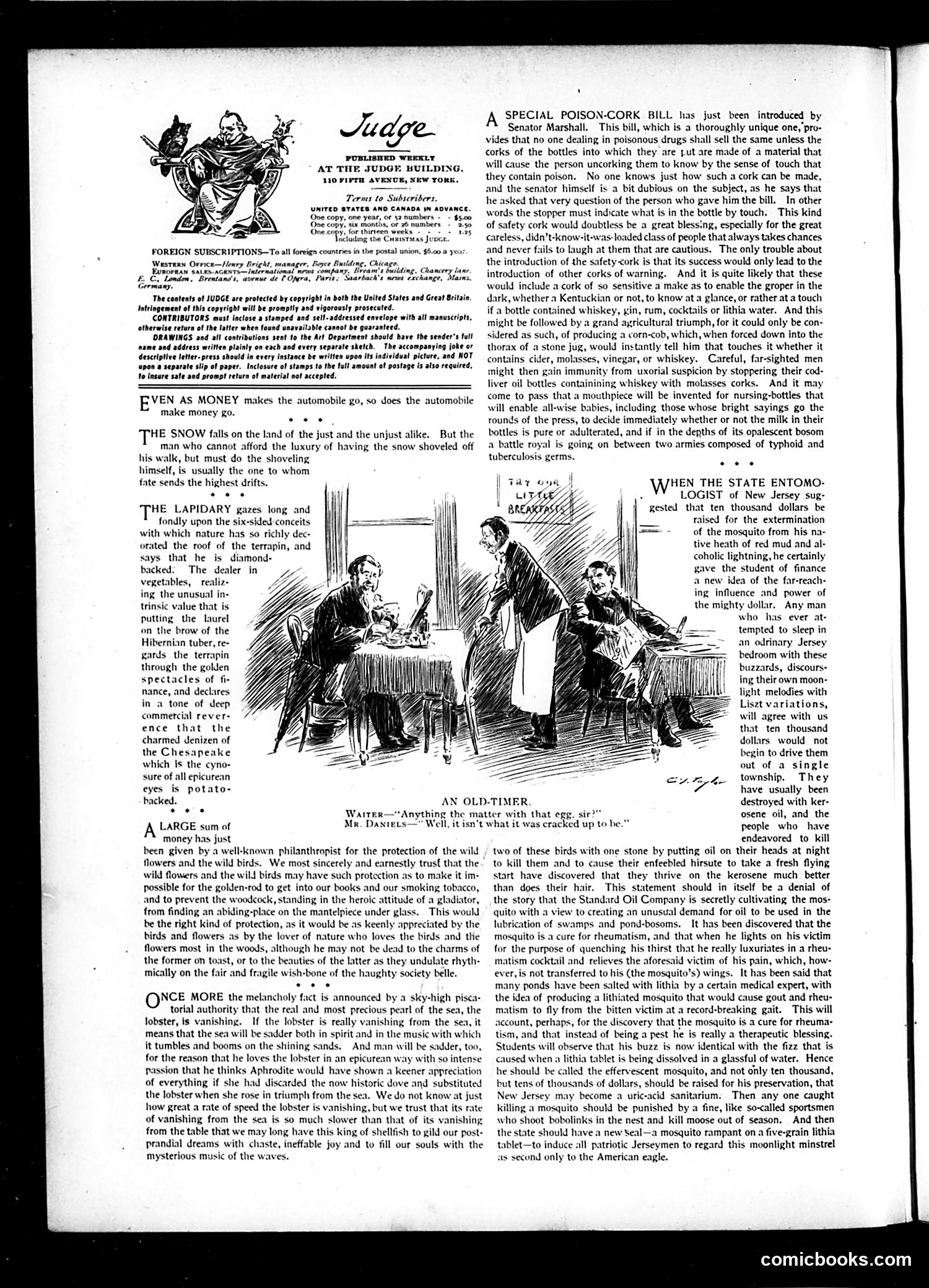 Judge — February 22, 1902 — page 2