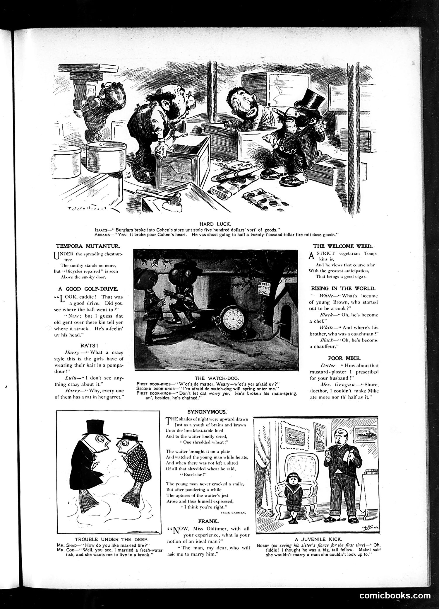Judge — May 31, 1902 — page 3