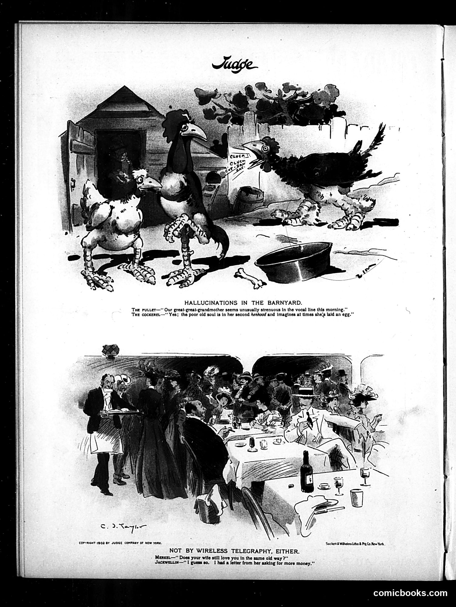 Judge — August 23, 1902 — page 16