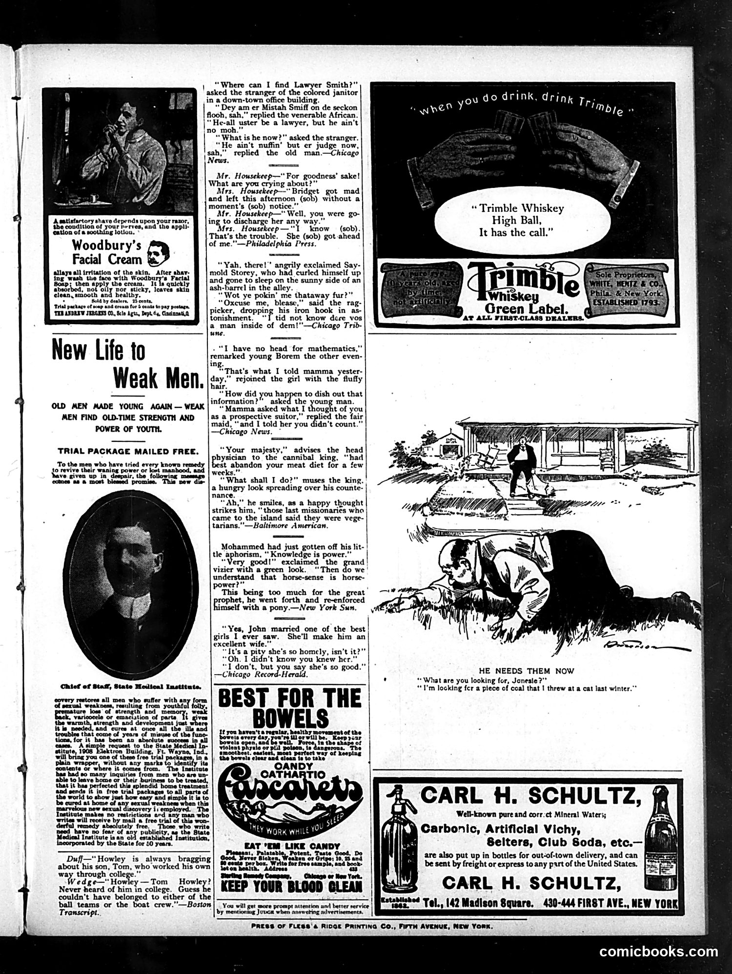 Judge — October 25, 1902 — page 15