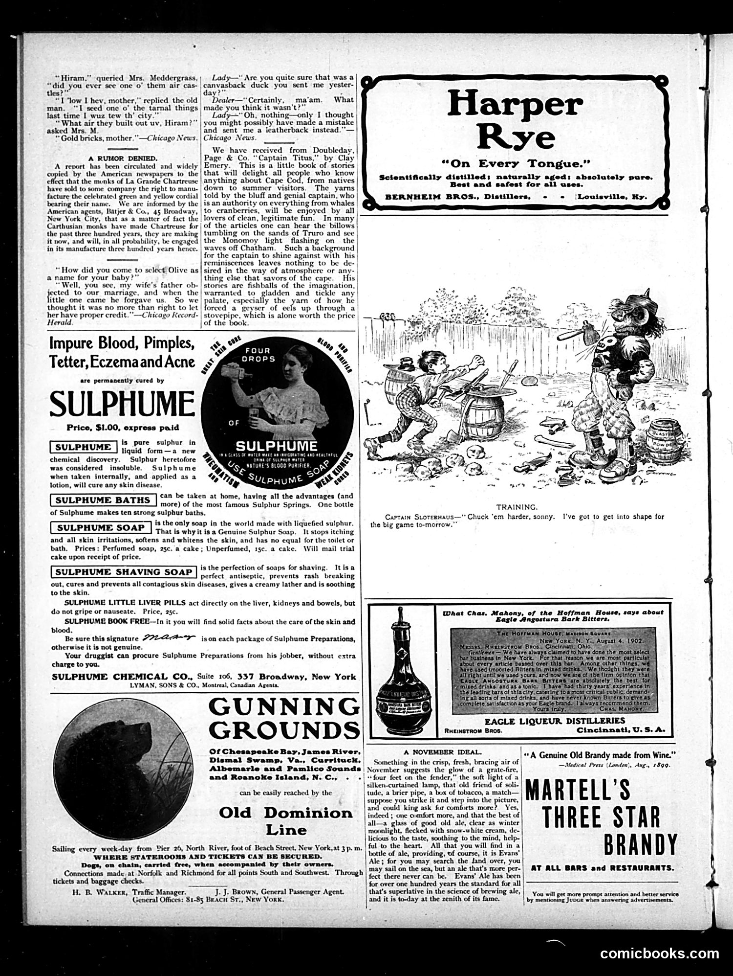 Judge — November 8, 1902 — page 14