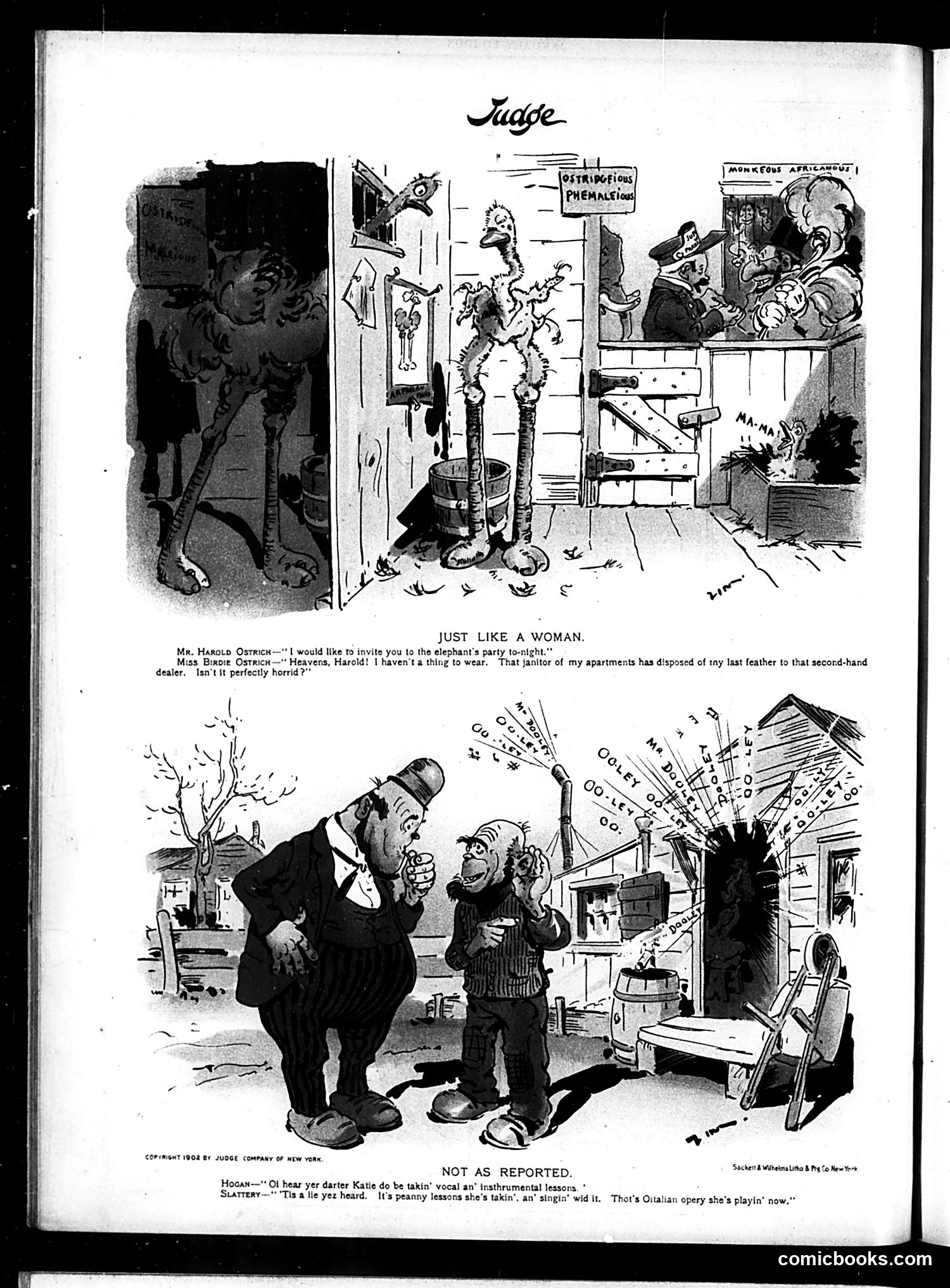 Judge — January 10, 1903 — page 16