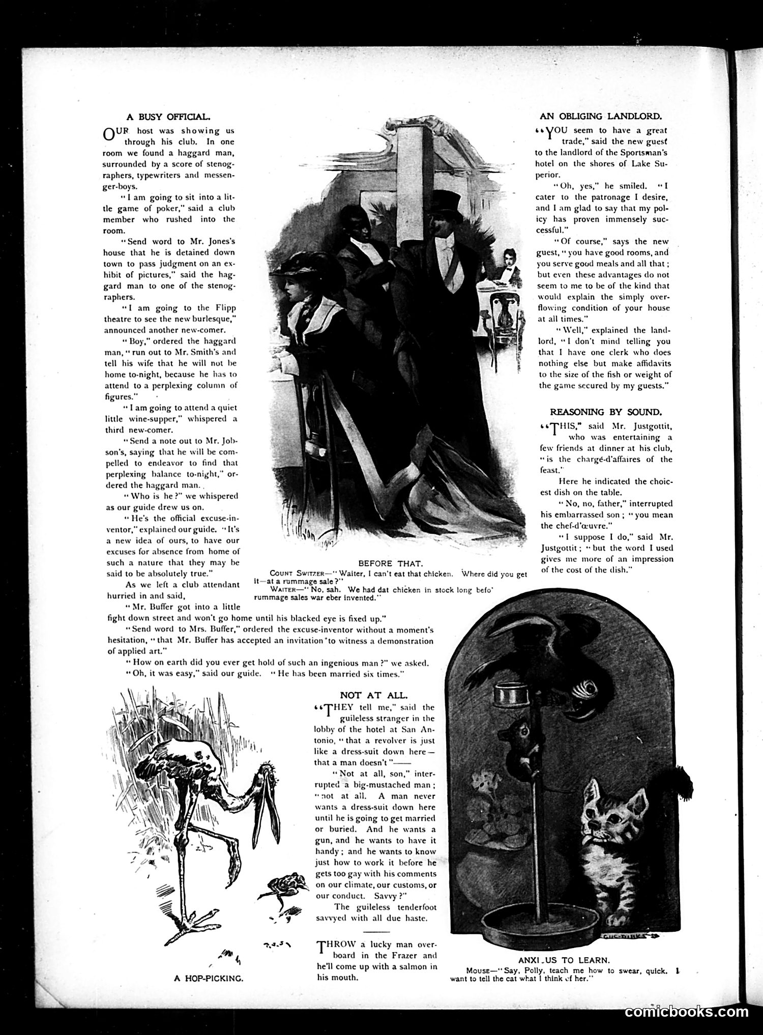 Judge — February 7, 1903 — page 10