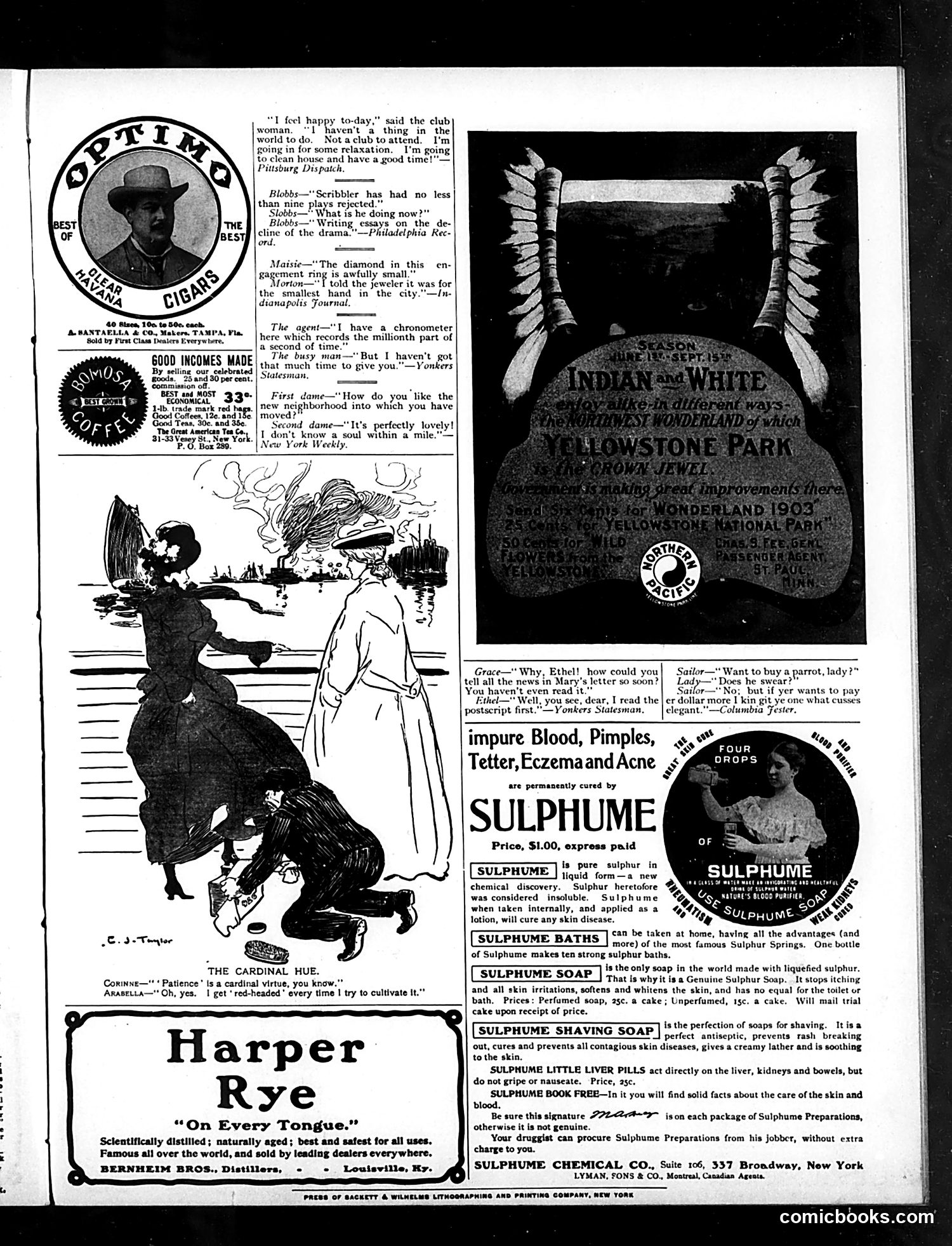 Judge — May 23, 1903 — page 15
