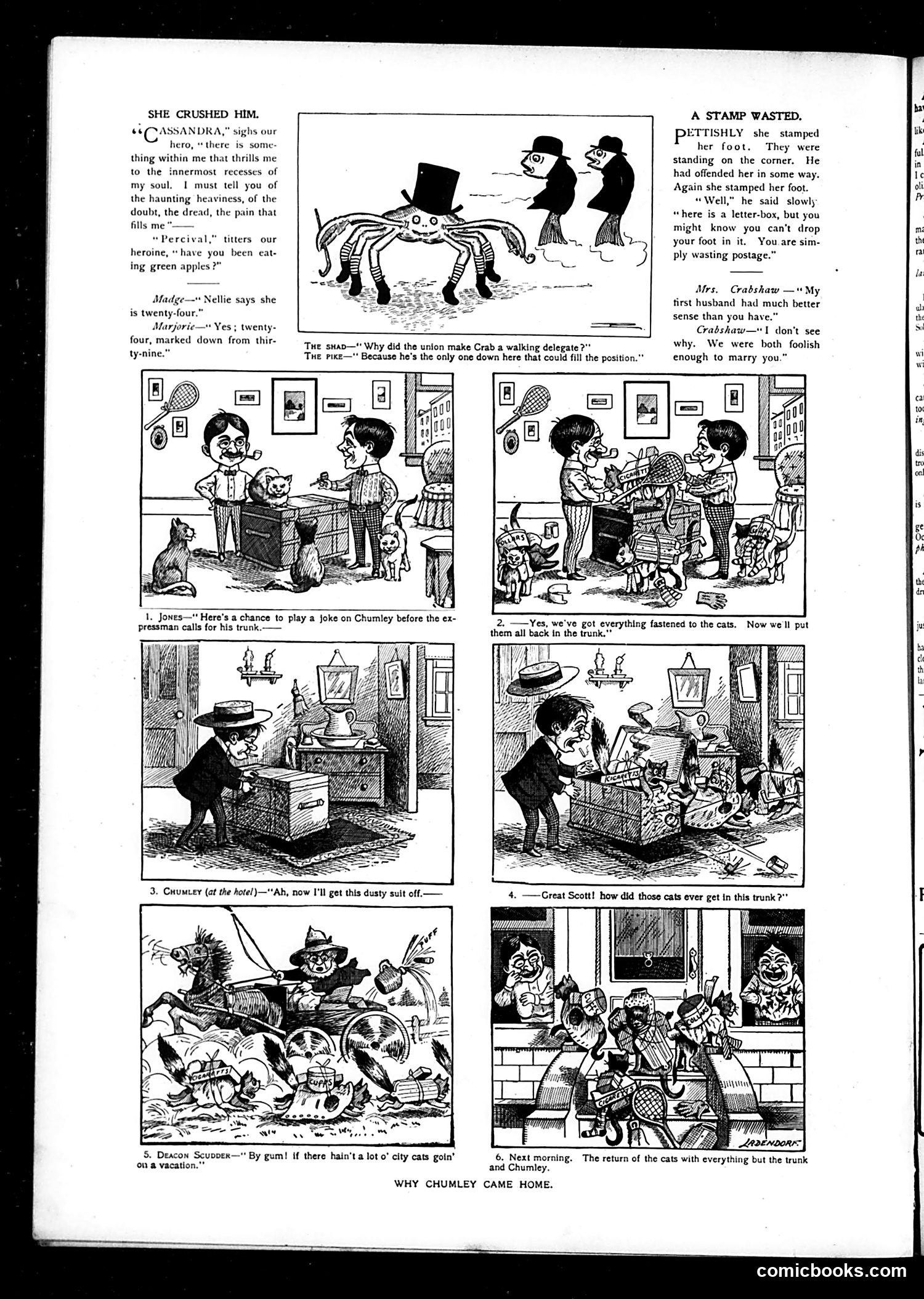 Judge — July 18, 1903 — page 10