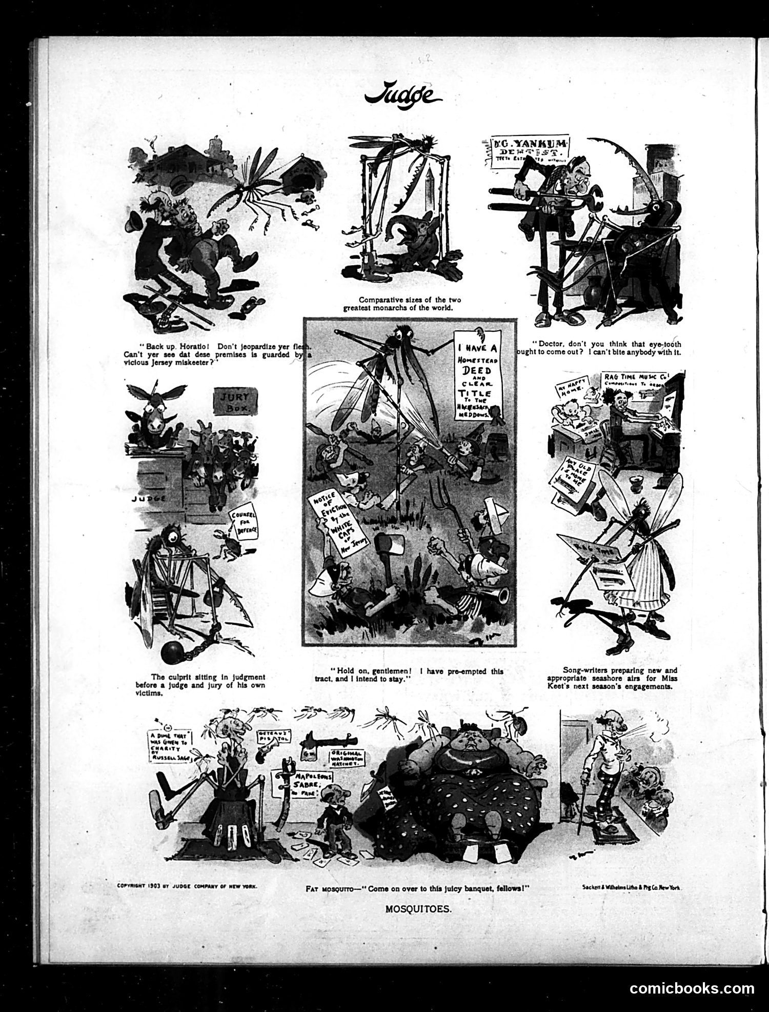 Judge — October 17, 1903 — page 16