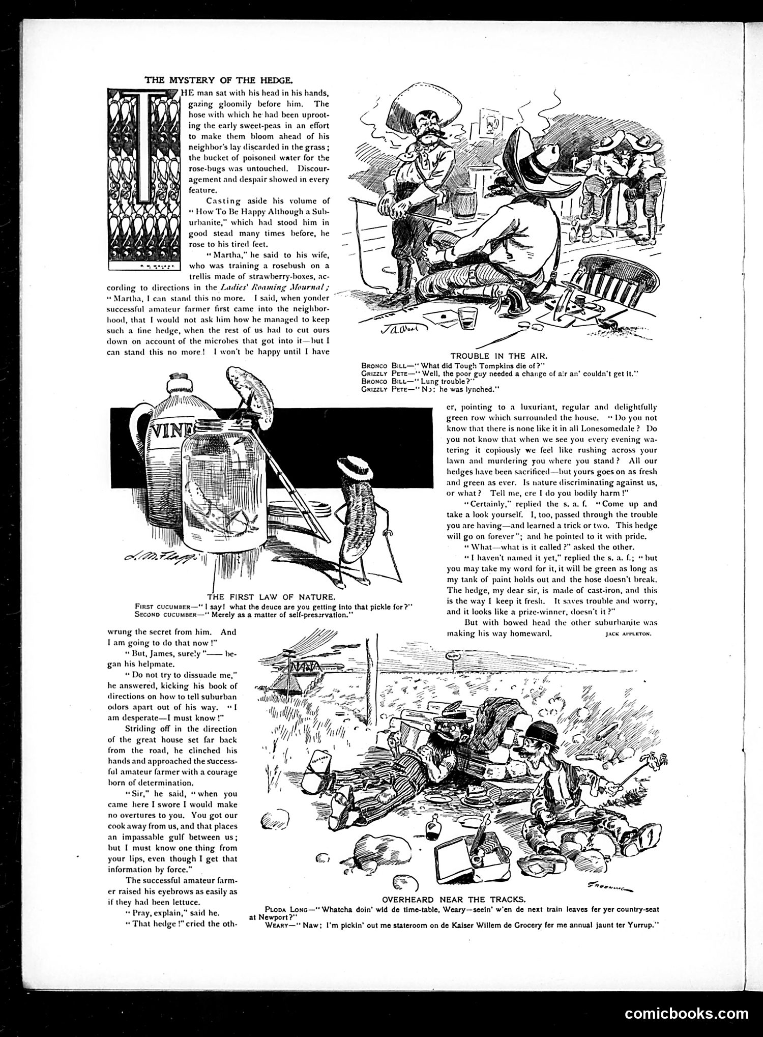Judge — July 16, 1904 — page 14
