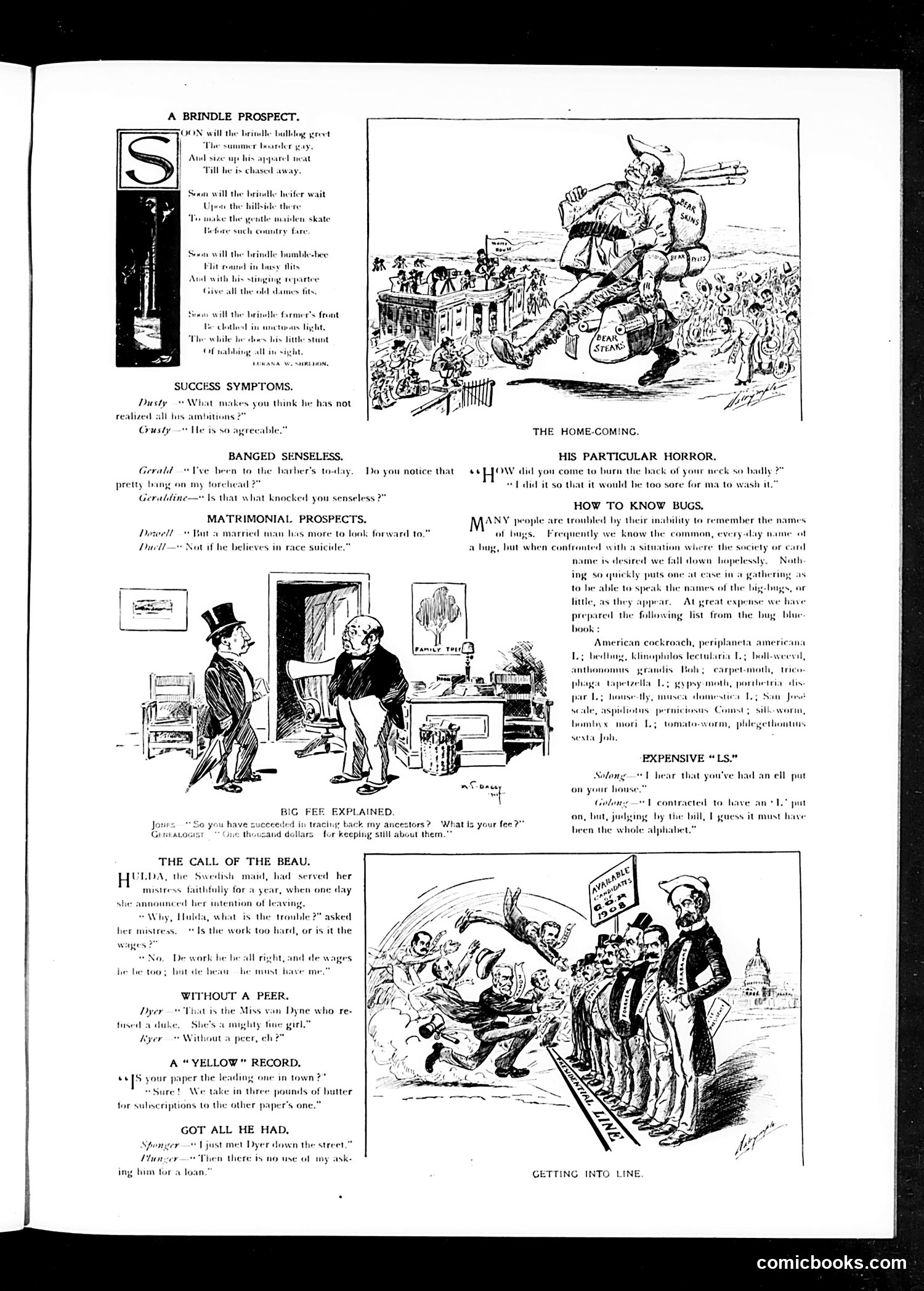 Judge — May 20, 1905 — page 3