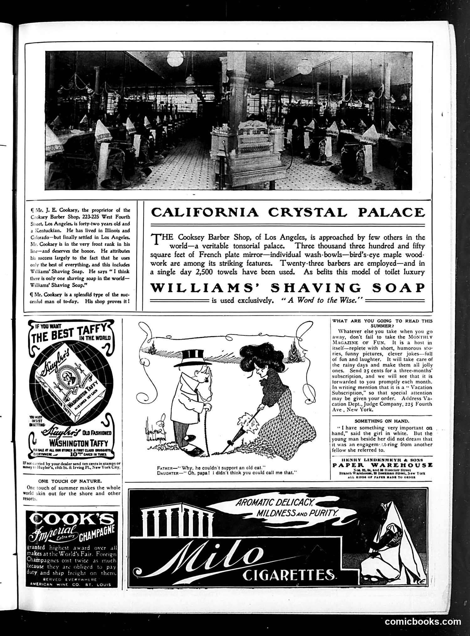 Judge — July 1, 1905 — page 13